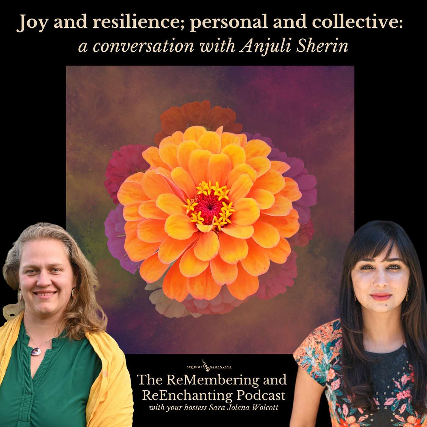The ReMembering and ReEnchanting Podcast