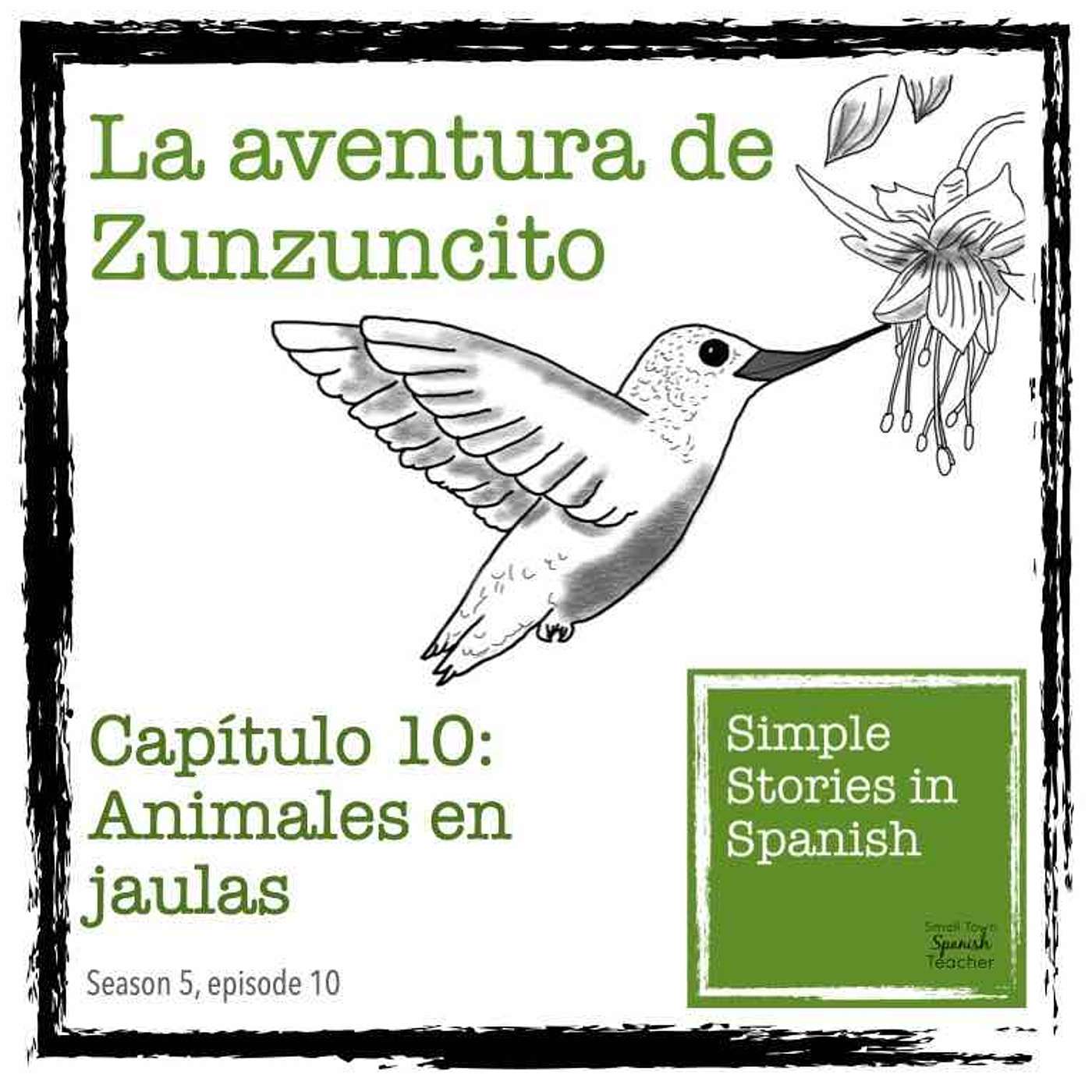 Capítulo 10: Animales en jaulas