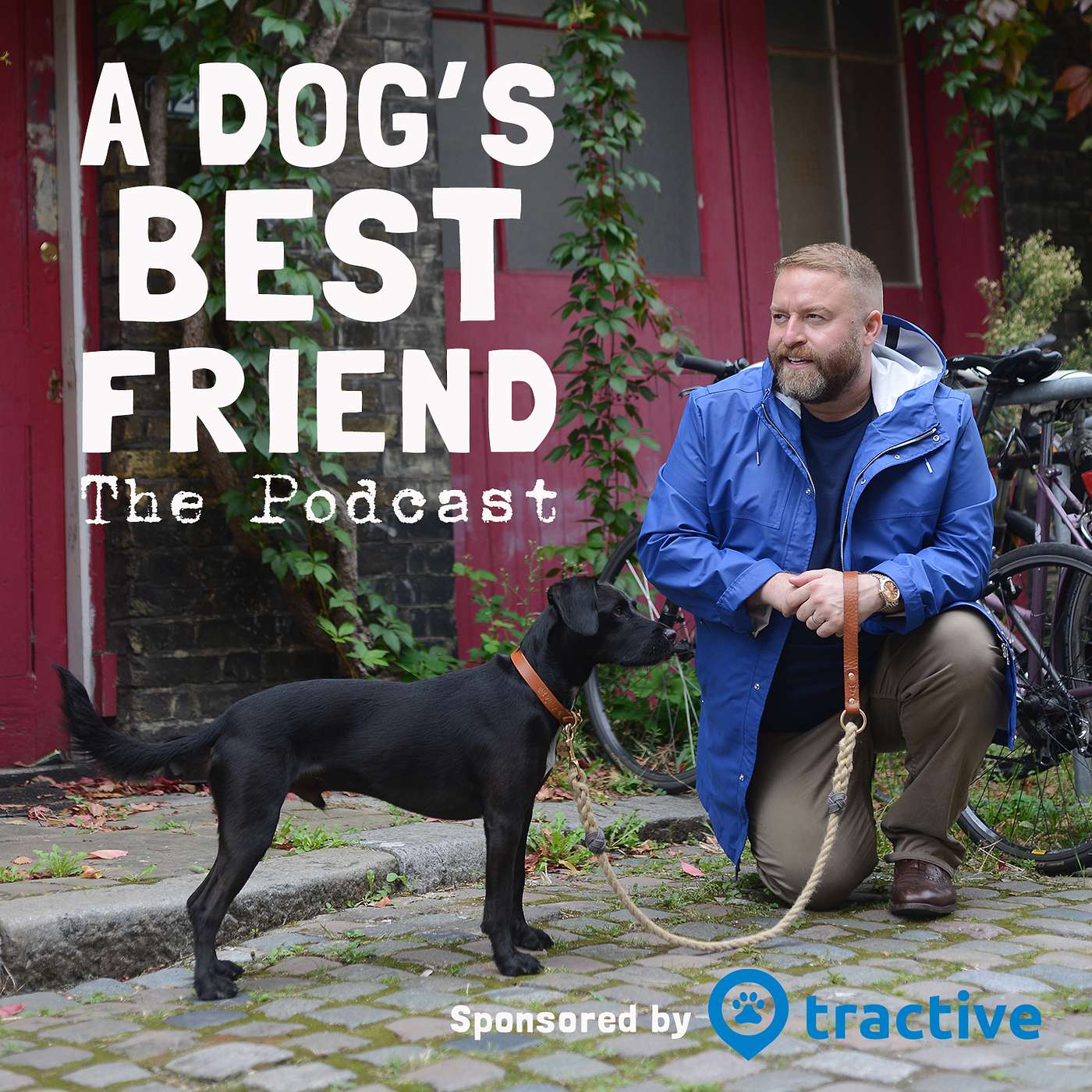 A Dog\'s Best Friend