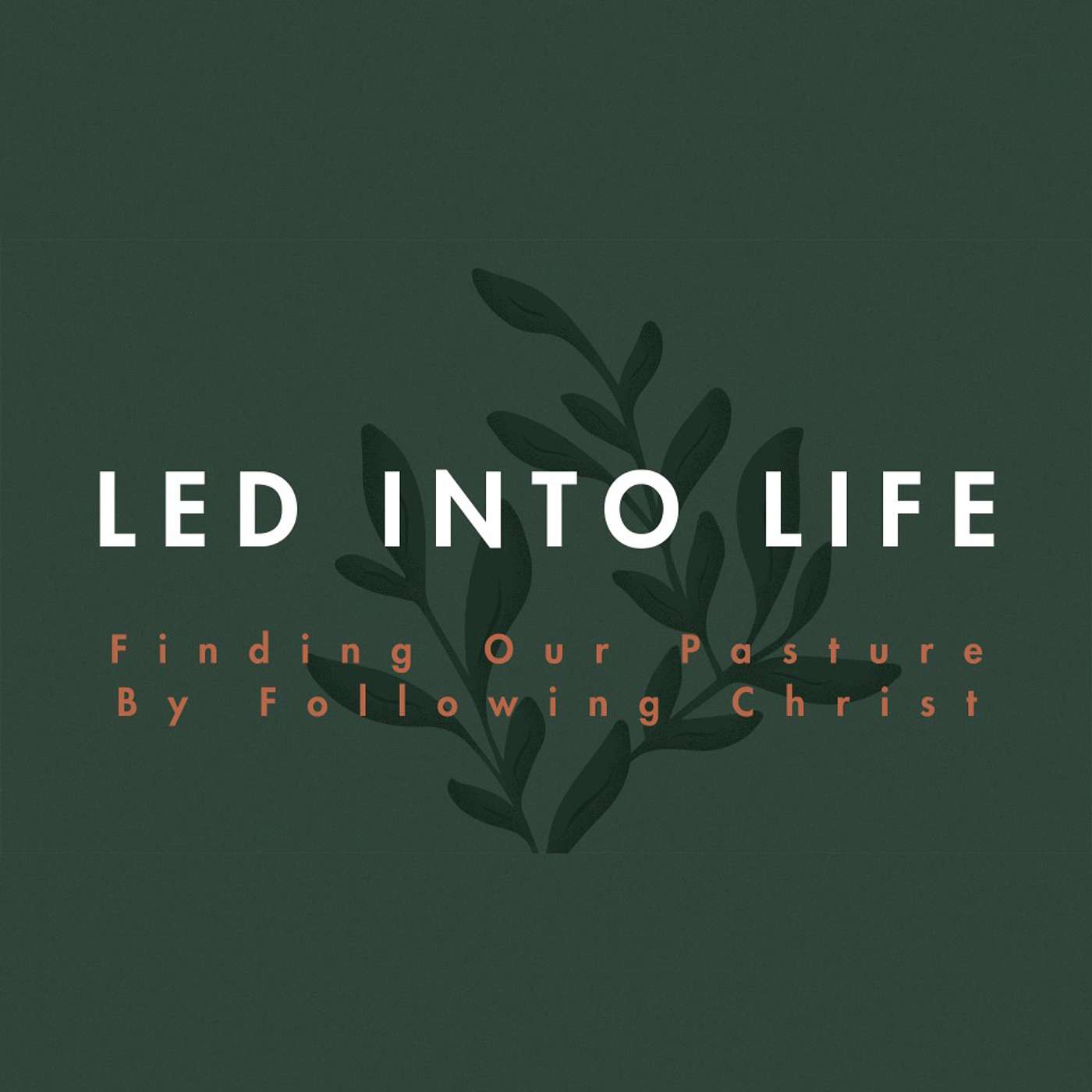 How Jesus Leads Us