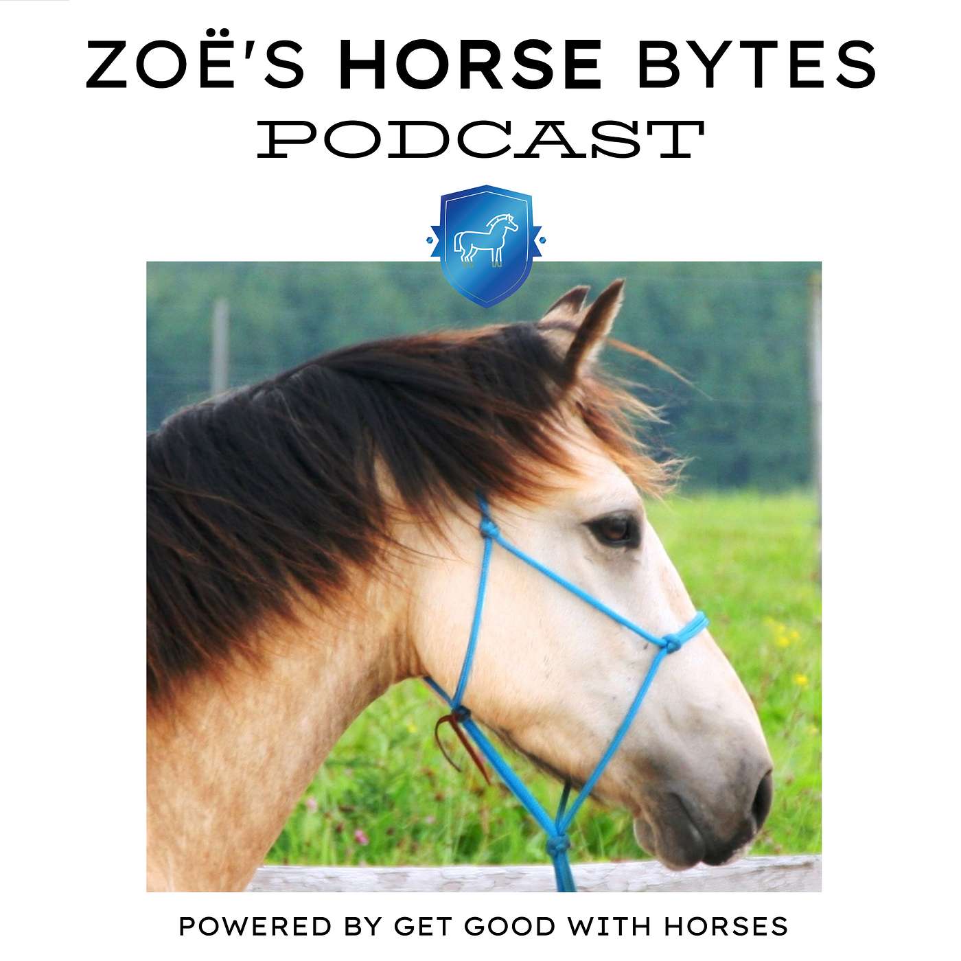 60. The 'brick wall' horse episode artwork