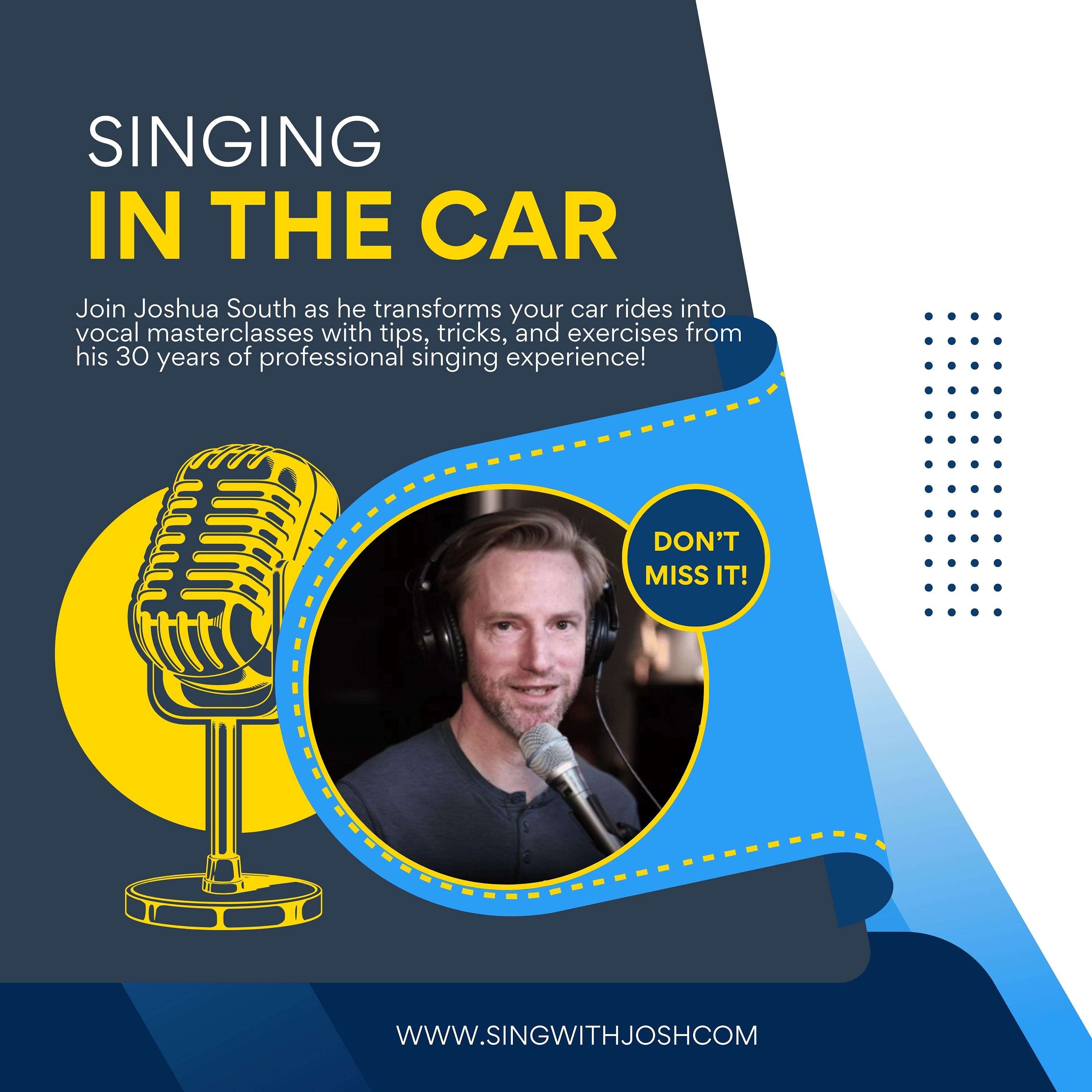 Singing in the Car