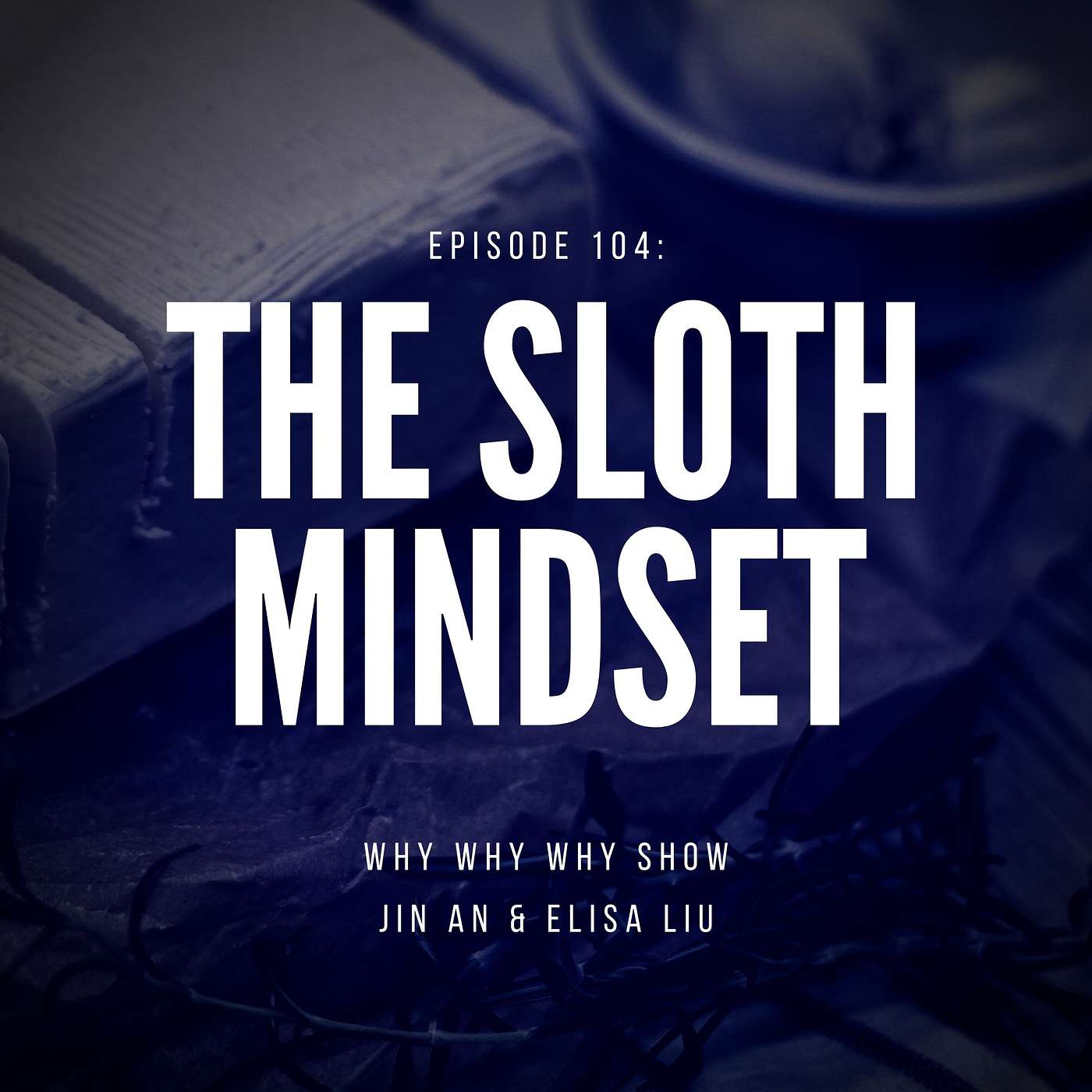 104: The Sloth Mindset