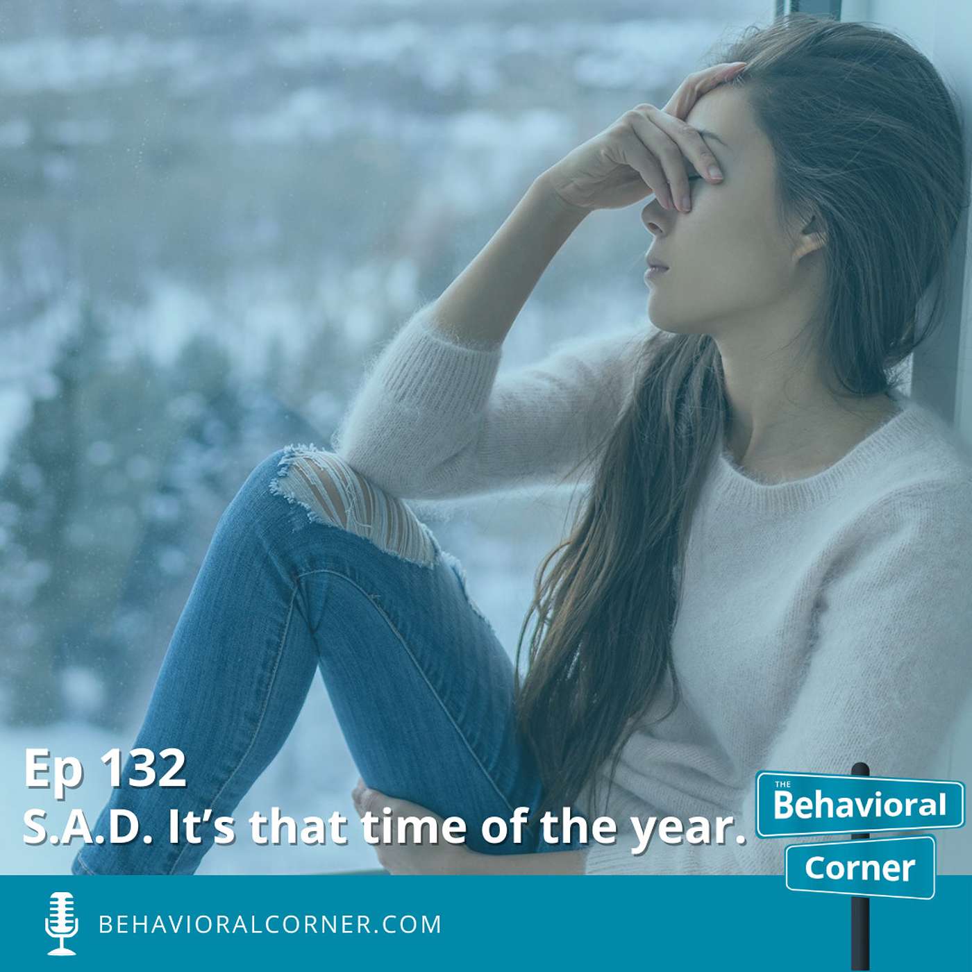 The Behavioral Corner
