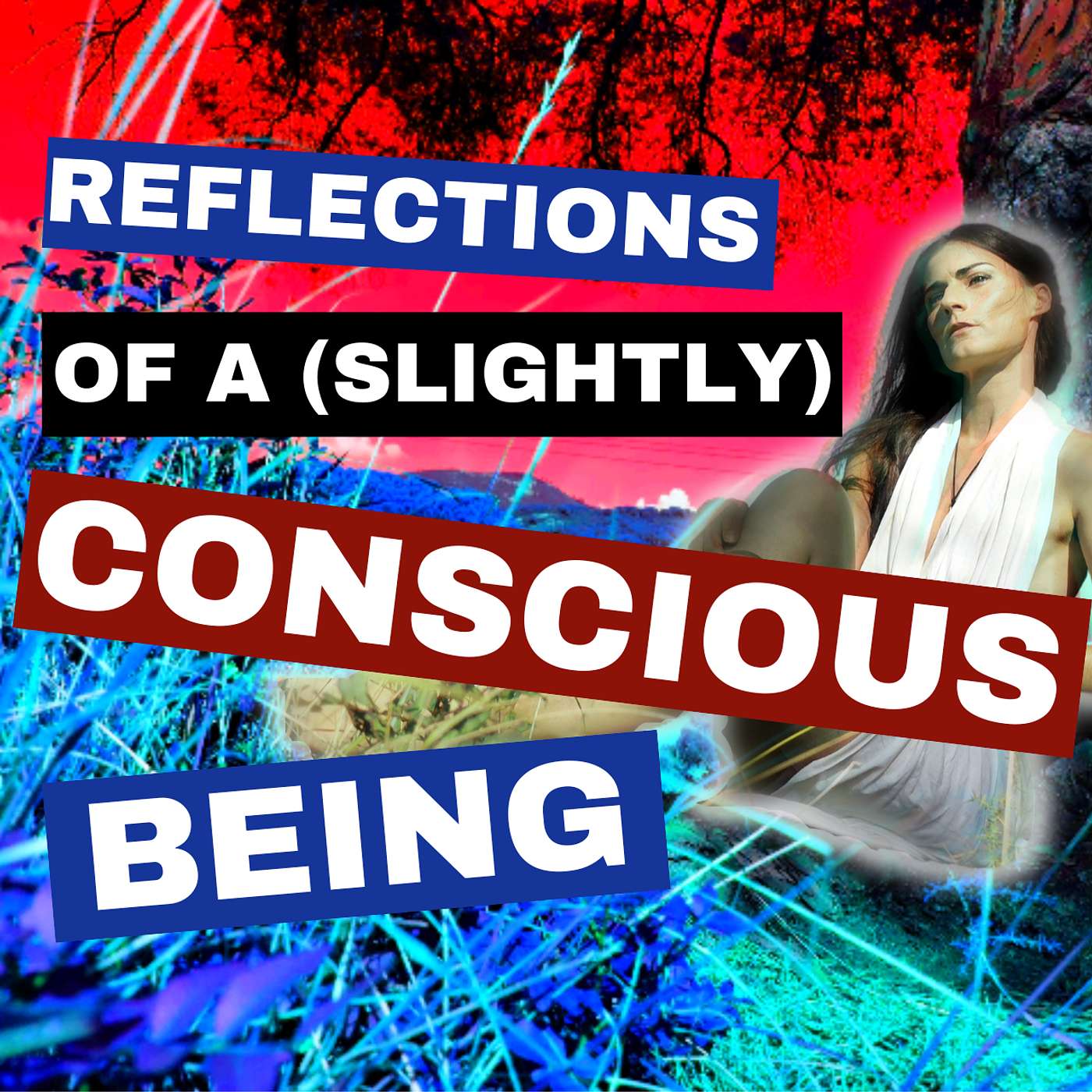 Reflections Of A (Slightly) Conscious Being