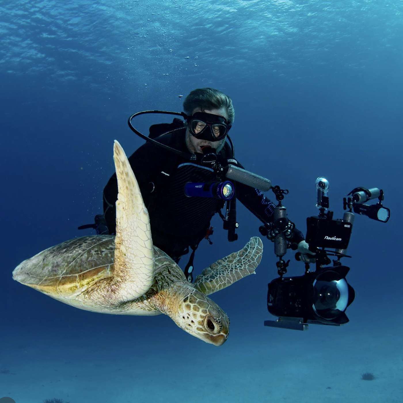 Behind the Lens: The Art and Science of Underwater Filmmaking with Richard Fitzpatrick Behind the Lens: The Art and Science of Underwater Filmmaking with Richard Fitzpatrick