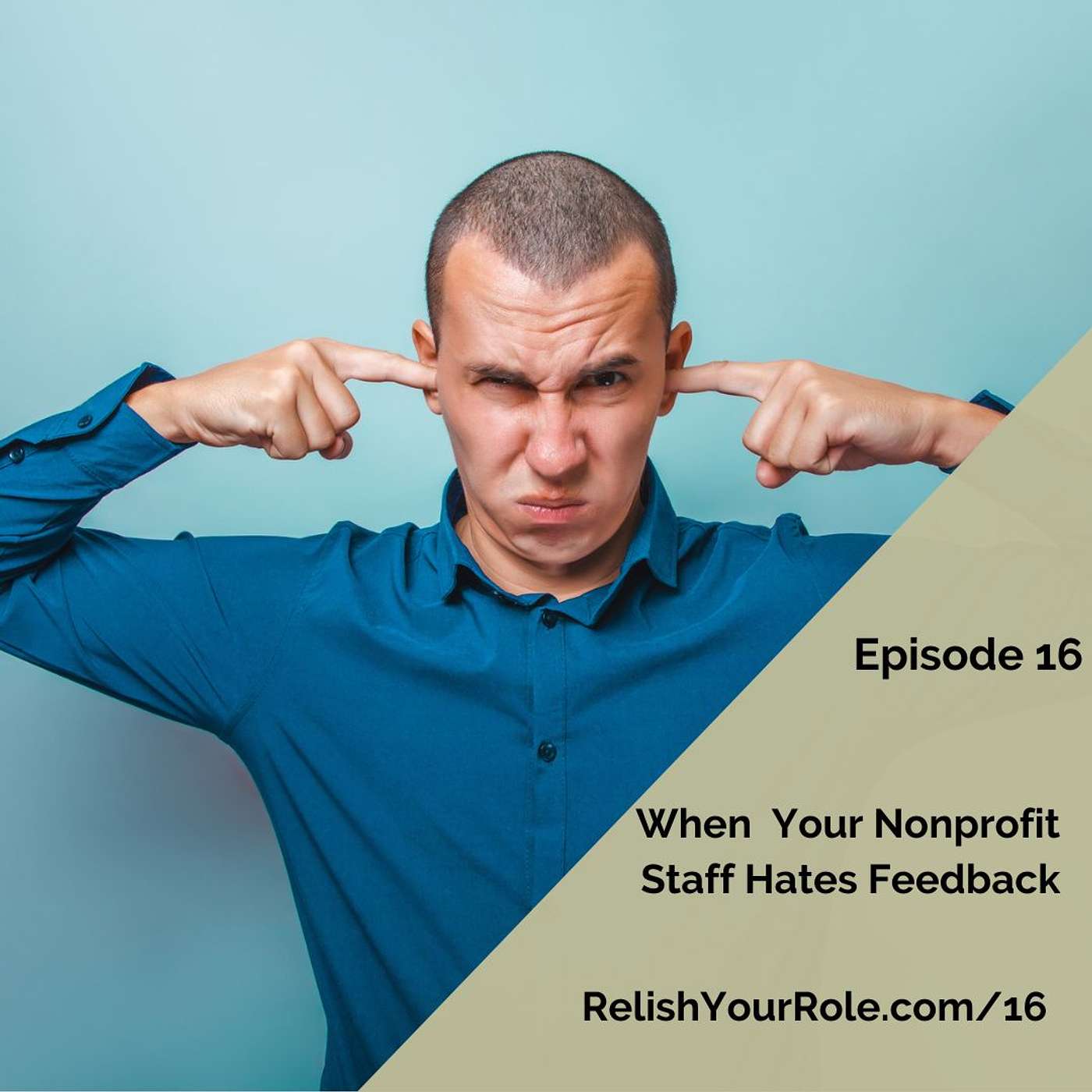 16. When Your Nonprofit Staff Hates Feedback
