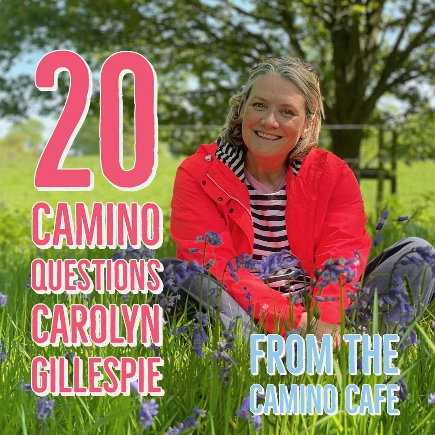 91 - Navigating the Camino de Santiago: Kari Gillespie’s Personal Pilgrimage Experience - 20 Camino Questions episode artwork