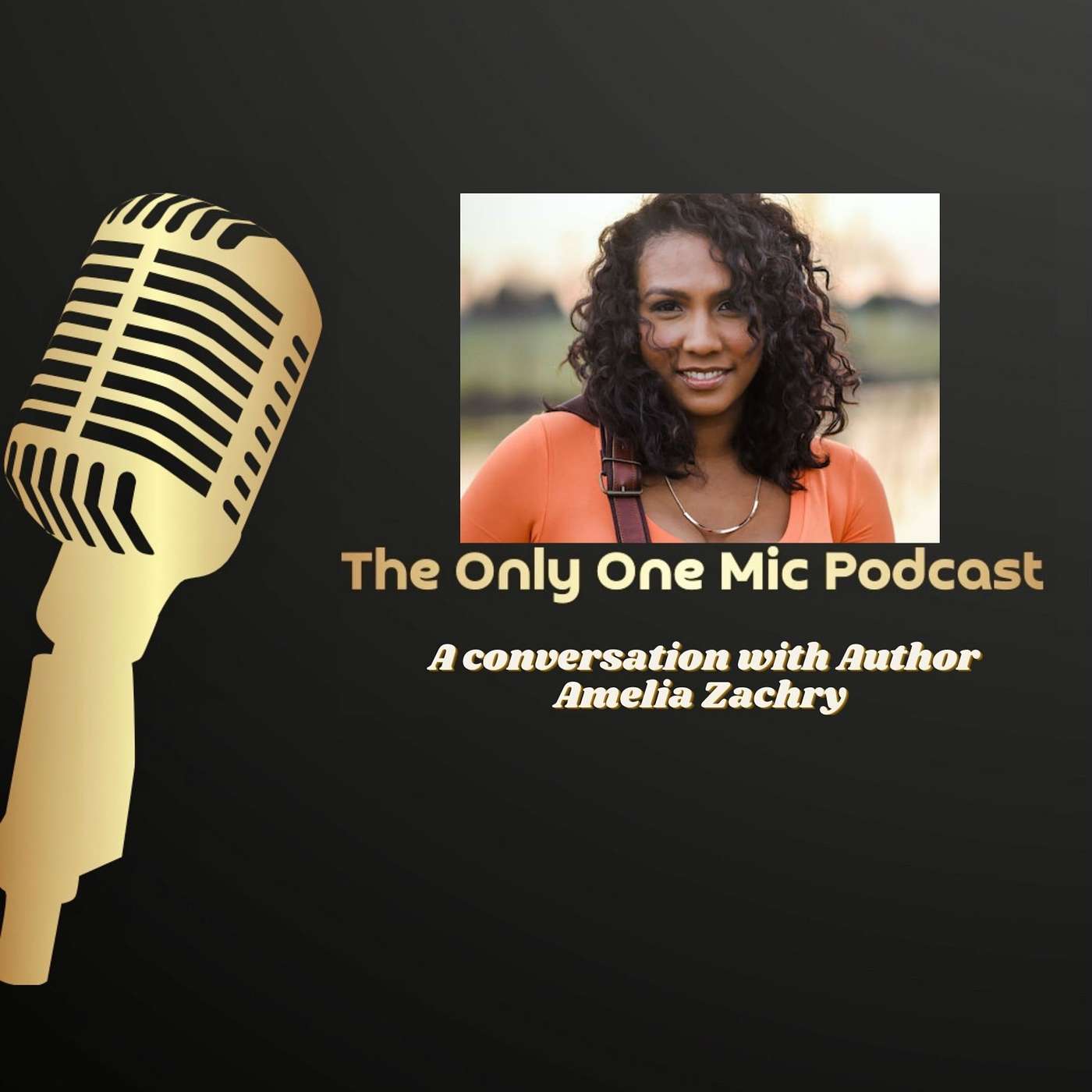 Surviving sexual assault, living with bipolar disorder, and the journey of healing episode artwork