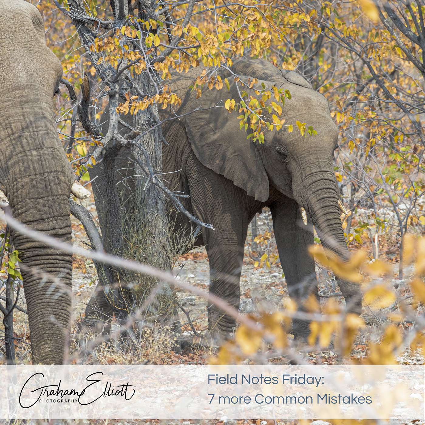 7 more mistakes that photographers often make