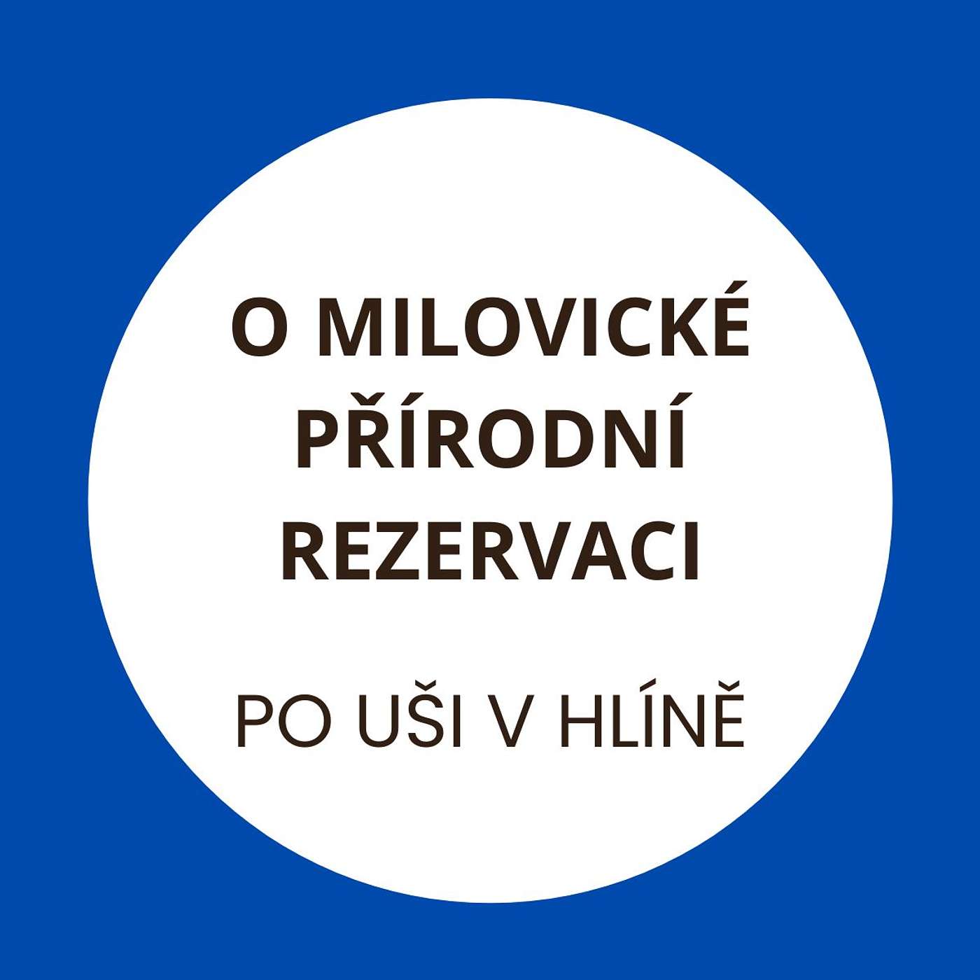 Zubři, divocí koně a pratuři, to je život v Milovické rezervaci