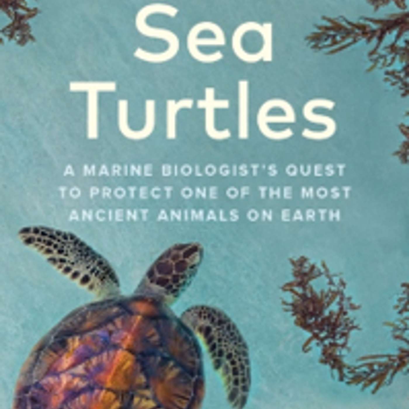 Christine Figgener - My Life With Sea Turtles