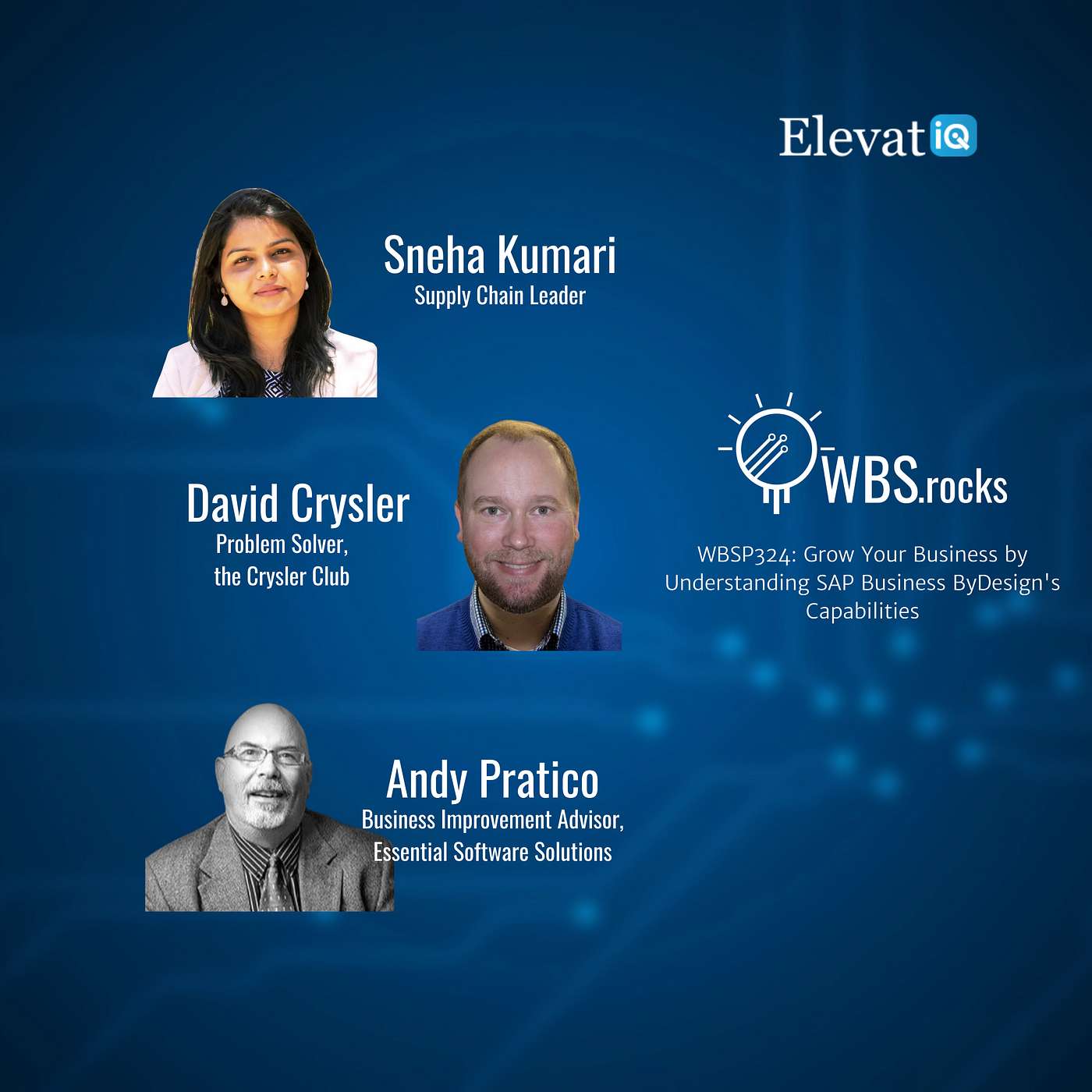 WBSP324: Grow Your Business by Understanding SAP Business ByDesign's Capabilities, an Objective Panel Discussion
