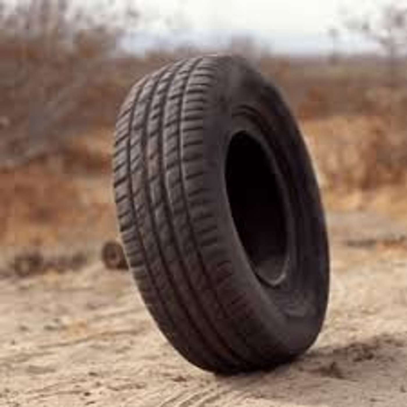 The Form of Horror: Where "Rubber" Meets the Critical Road (starring Eugenie Brinkema)