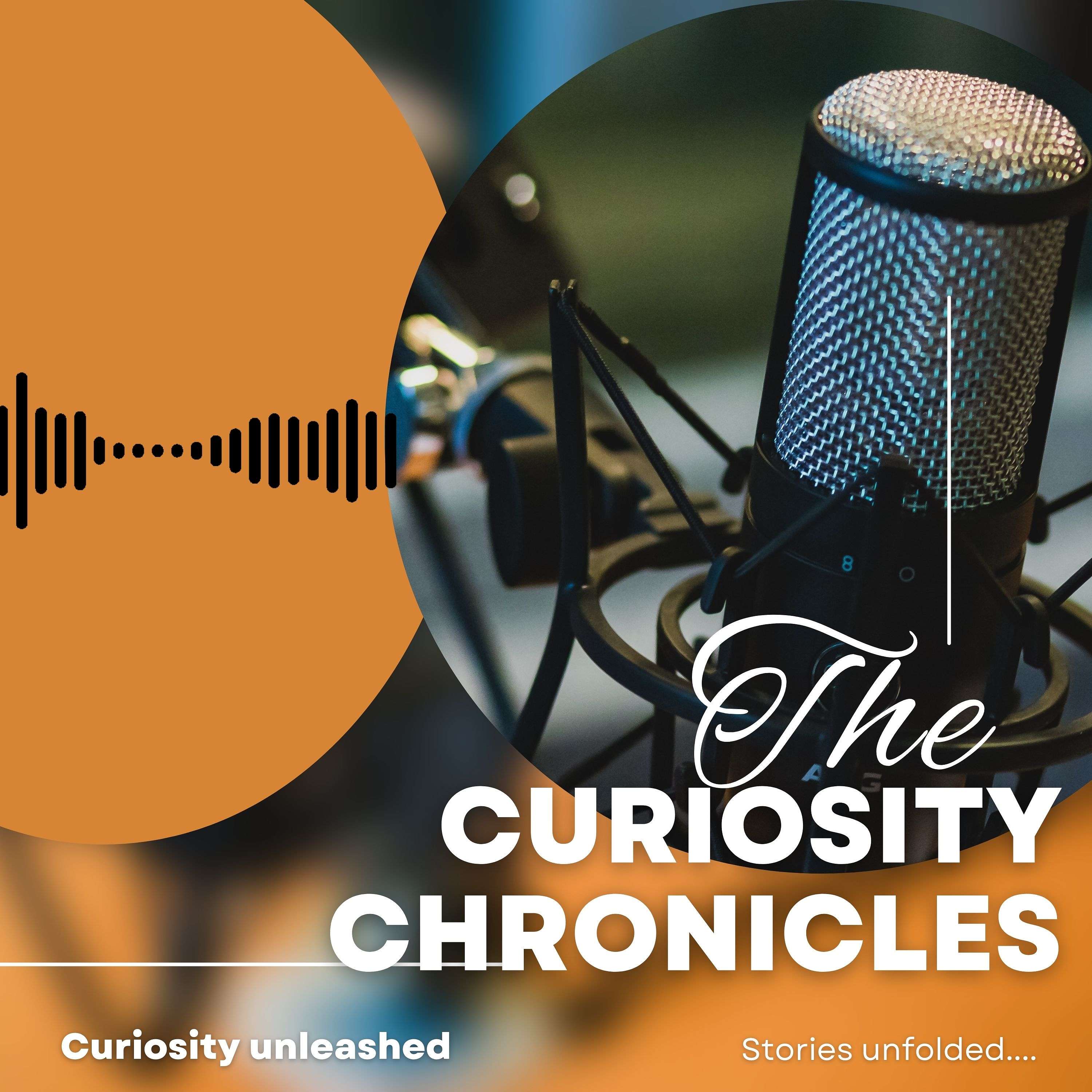 The Curiosity Chronicles