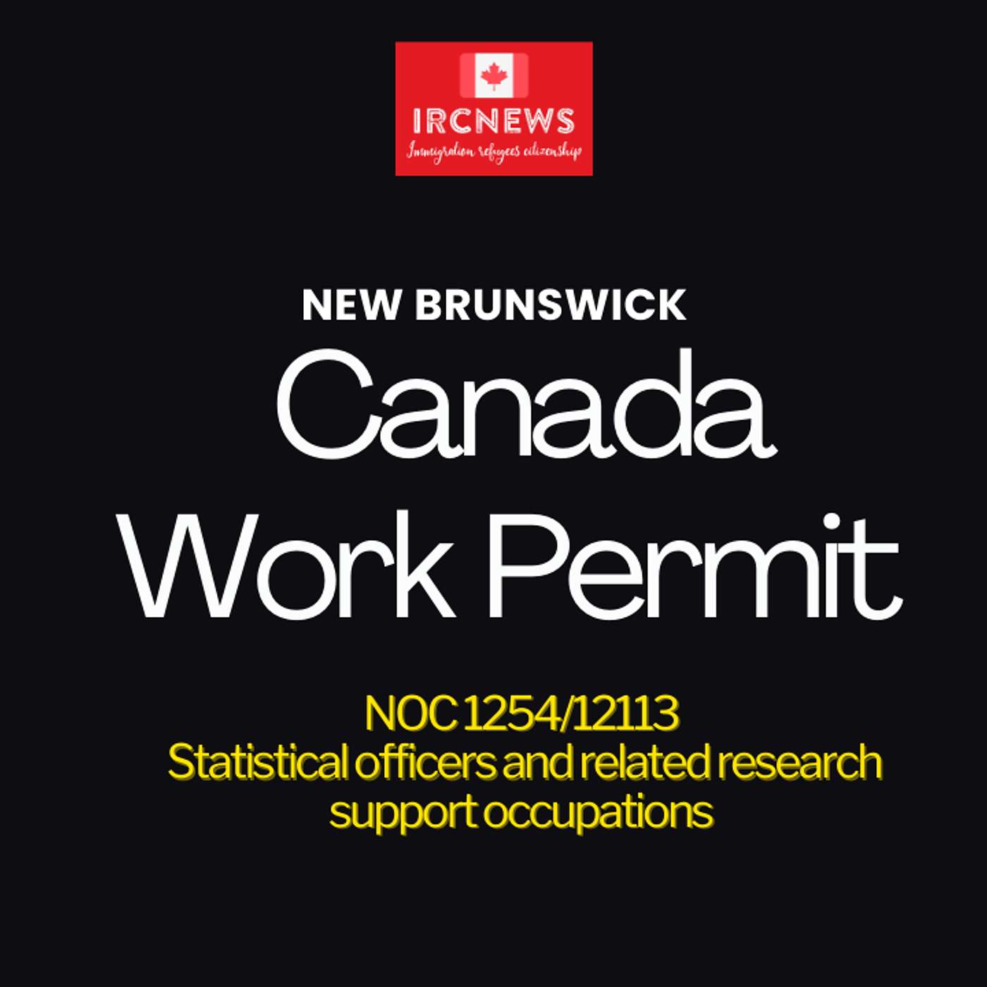 Canada Immigration New Brunswick NOC 1254/12113 Statistical officers and related research support occupations Work Permits episode artwork