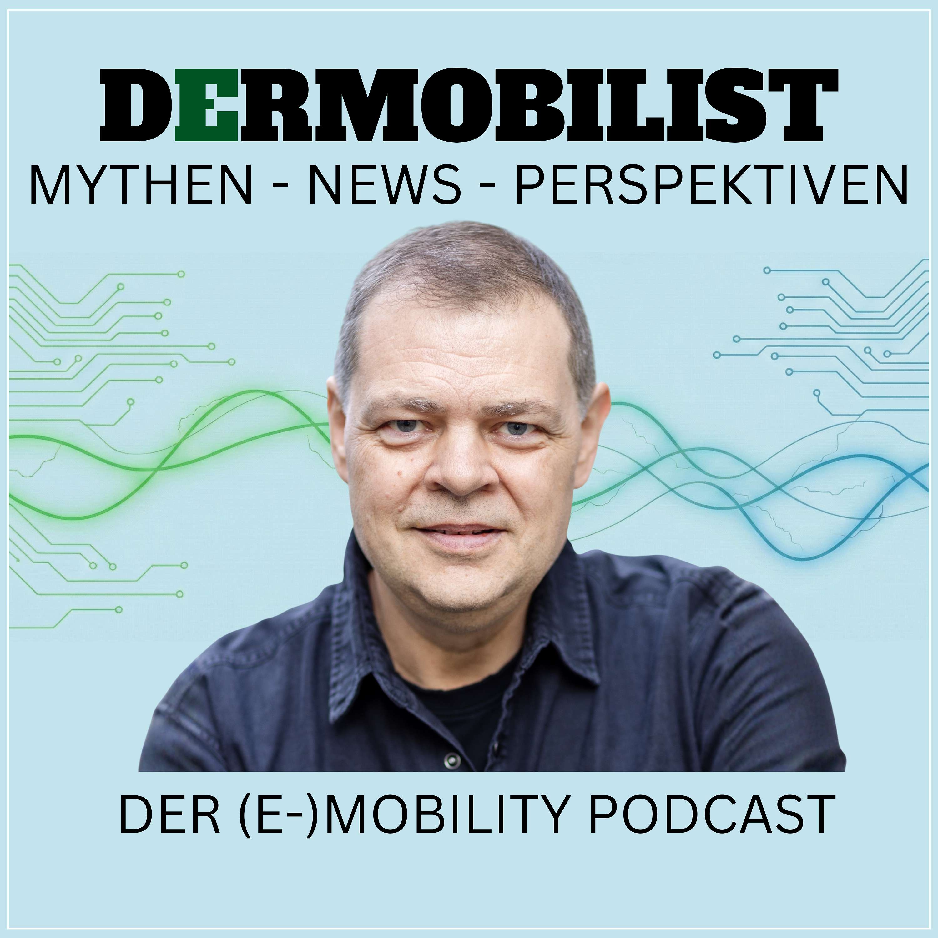 DERMOBILIST Artwork