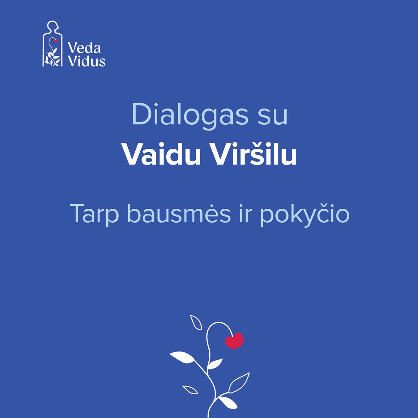 Dialogas su Vaidu Viršilu: Tarp bausmės ir pokyčio