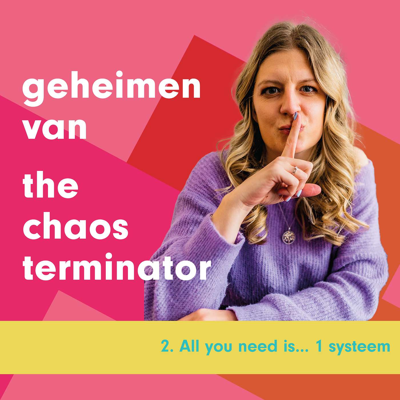 2. All you need is... 1 systeem episode artwork