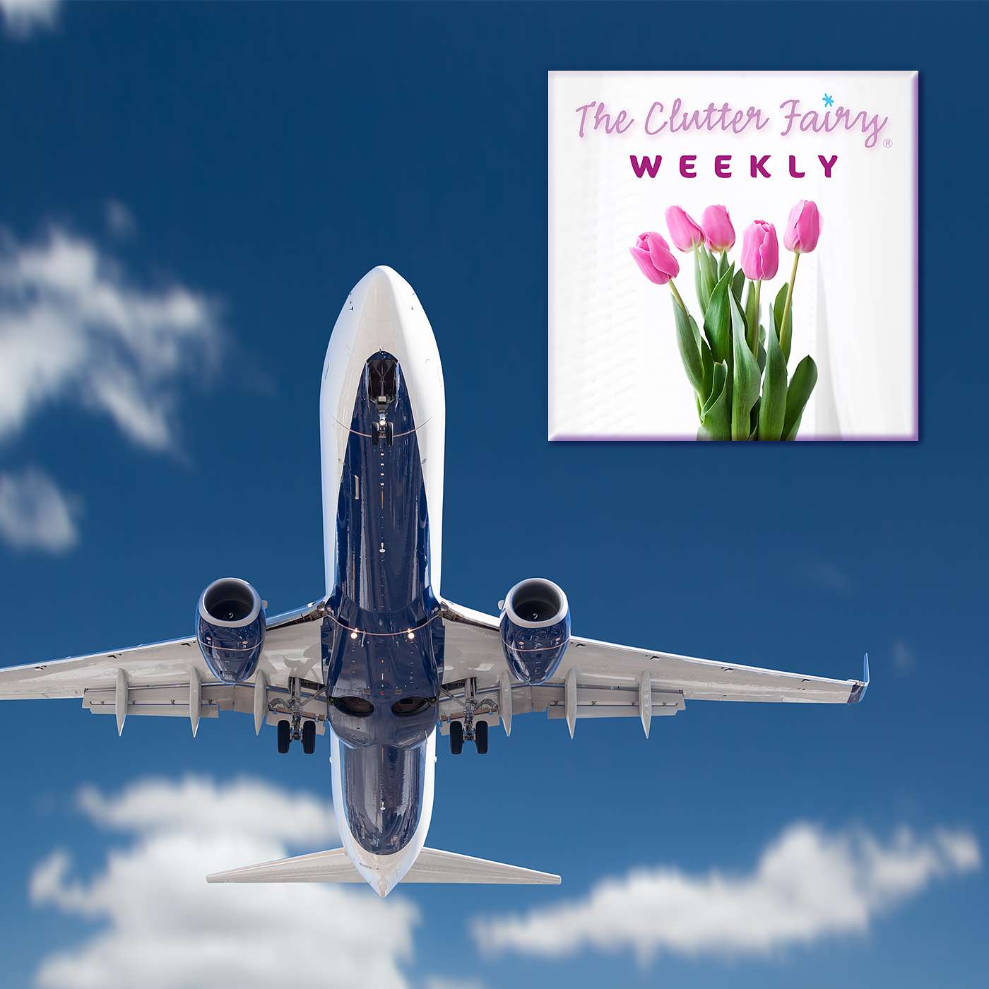 The Clutter Fairy Weekly
