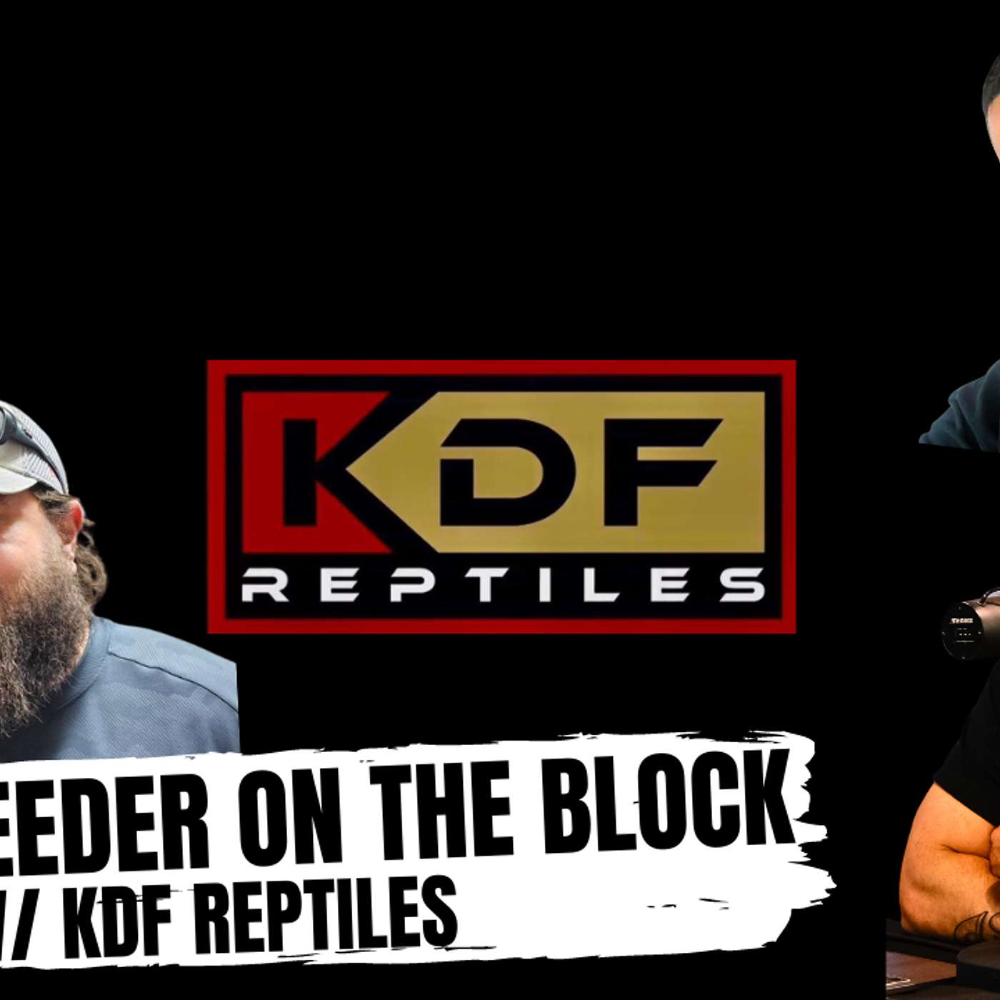 How to get your name out there as a new breeder | New Breeder On The Block Live
