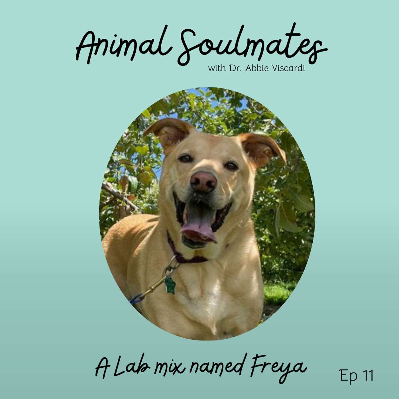 Animal Soulmates