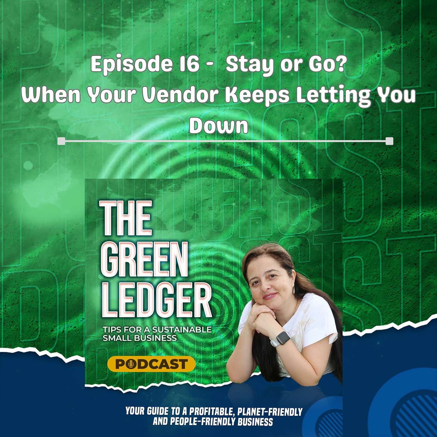 Episode 16 - Stay or Go?  - What to do When Your Vendor Keeps Letting You Down episode artwork