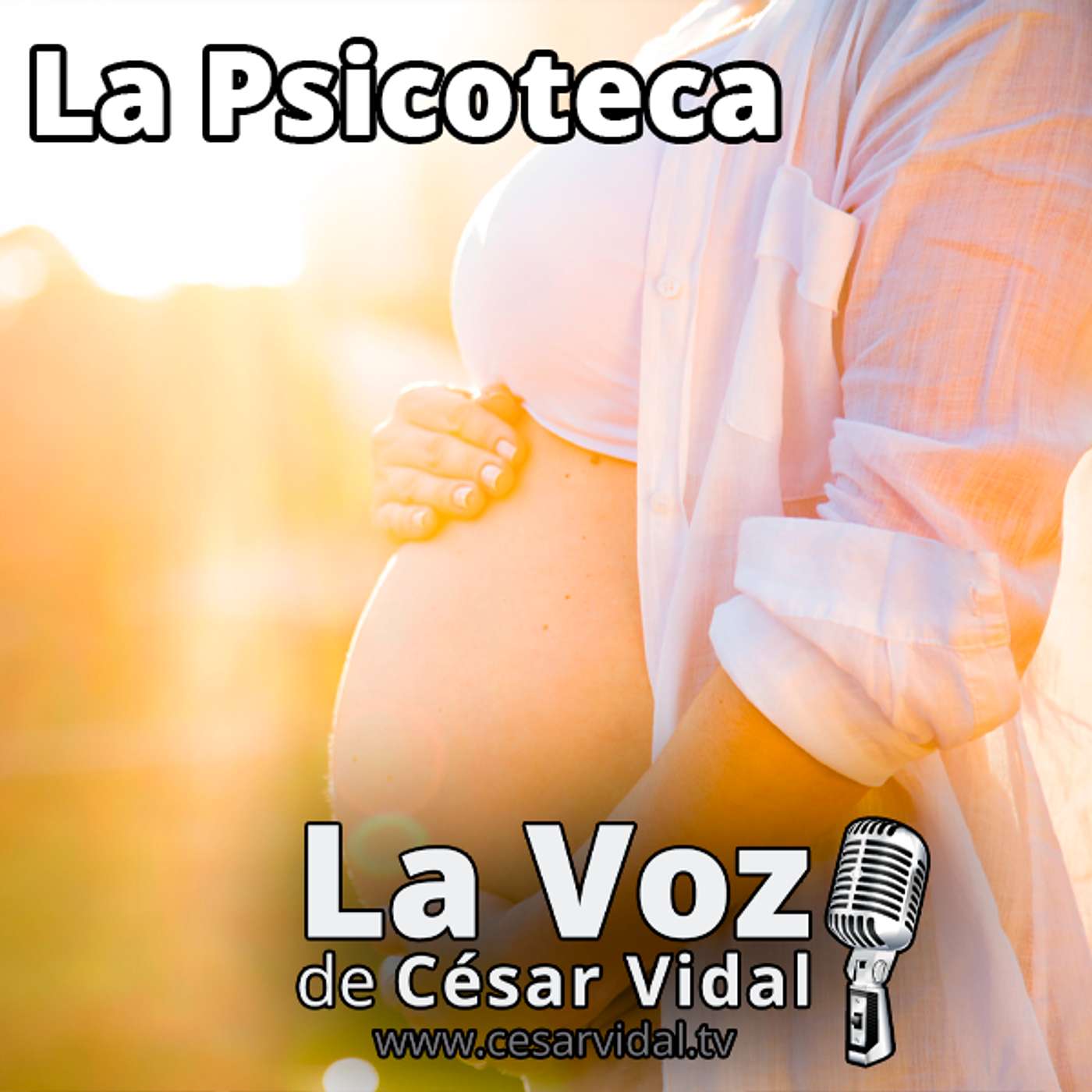 La Psicoteca: Psicología Prenatal: Criando desde el Vientre - 26/02/25