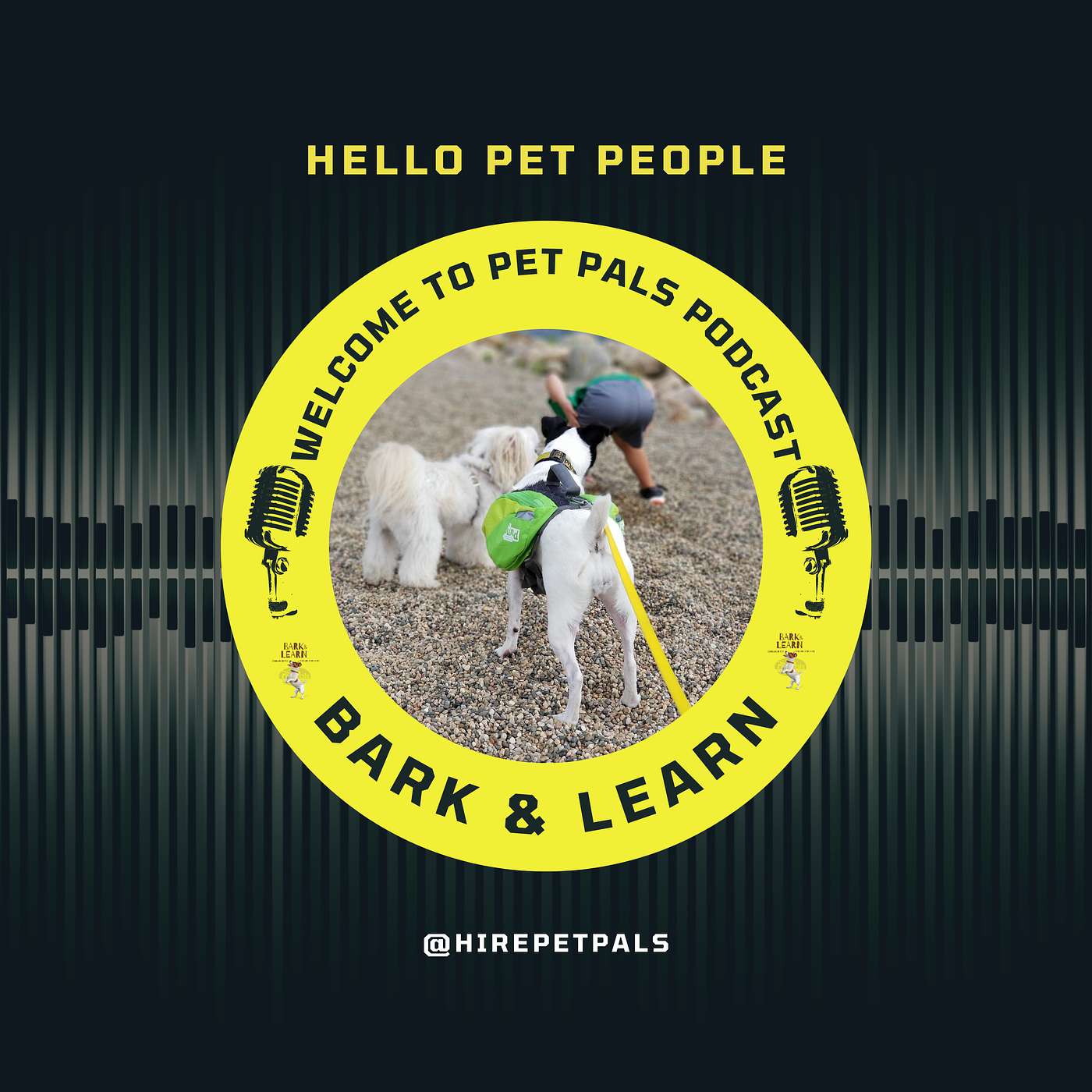Pet Pals Bark & Learn