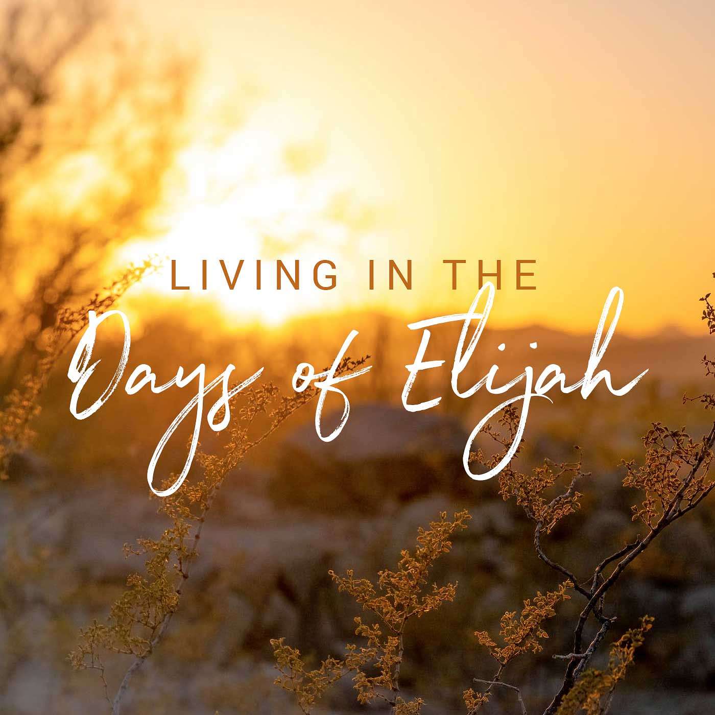 Living in the Days of Elijah Part 2 - Living in the Days of Elijah episode artwork