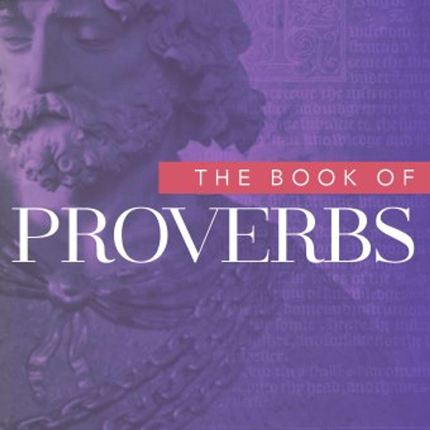 Jesus, the Wisdom of God (Proverbs 8:22-31) - Xavier Ries episode artwork