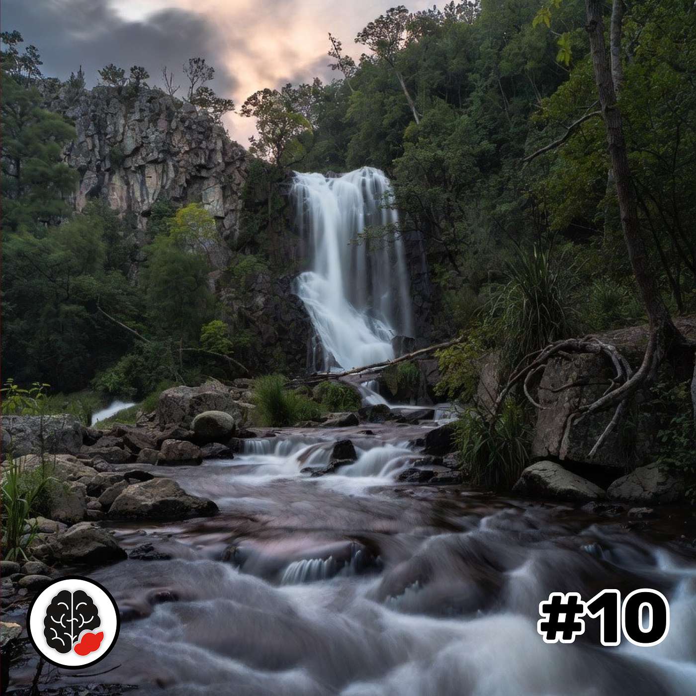 Digitale Wissensbissen - gelungene Software-Projekte, wirksame KI, zukunftsfähige Architekturen