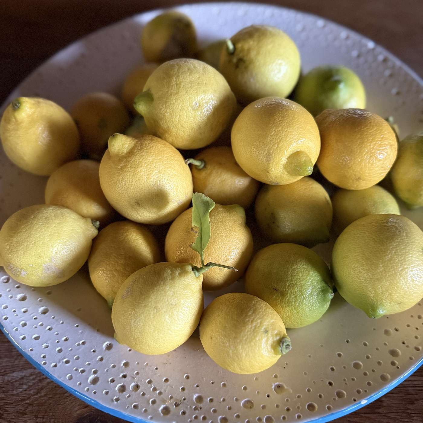 A Musing on Lemons, Life and Limoncello......The Recipe for Limoncello Included.... episode artwork