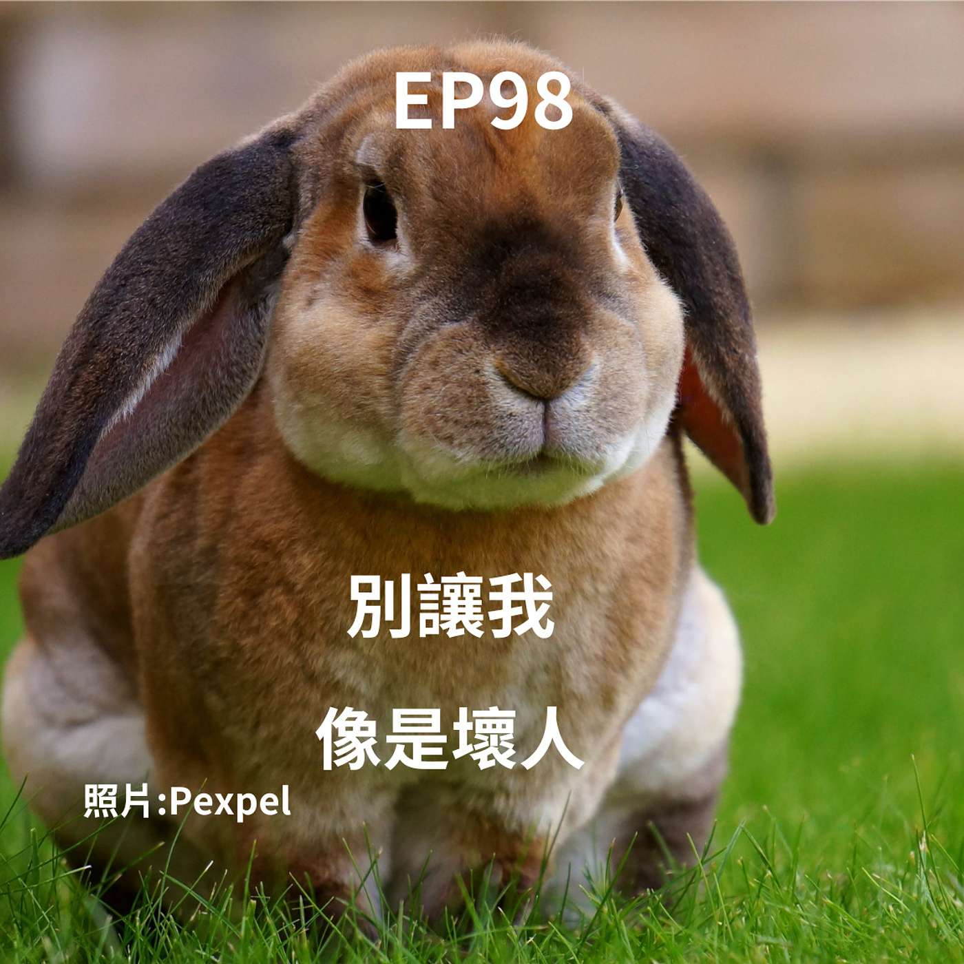 EP98 一再約離世溝通好嗎？ 兔兔：你的傷心讓我成為好像壞人一樣(柚子貍&安妮動物園/從0到1媒體人X斜槓) . episode artwork