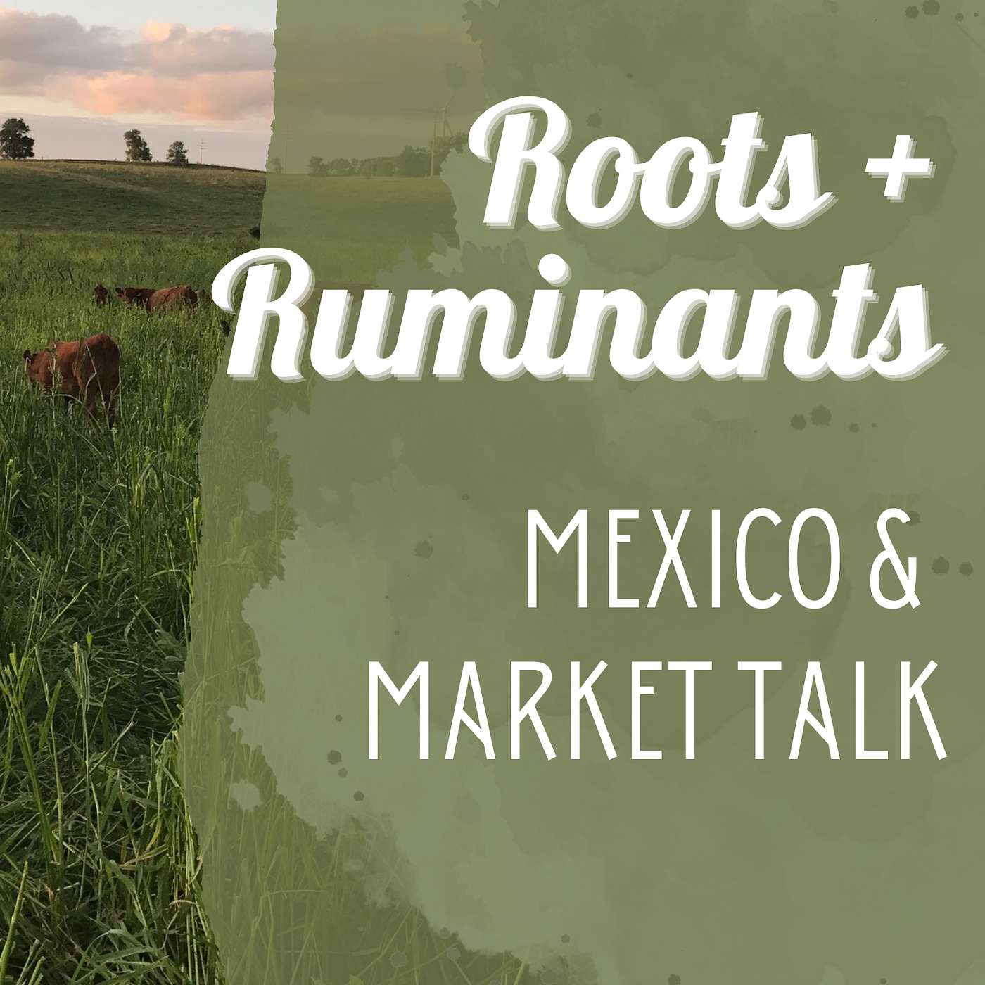 Mexico & Market Talk episode artwork