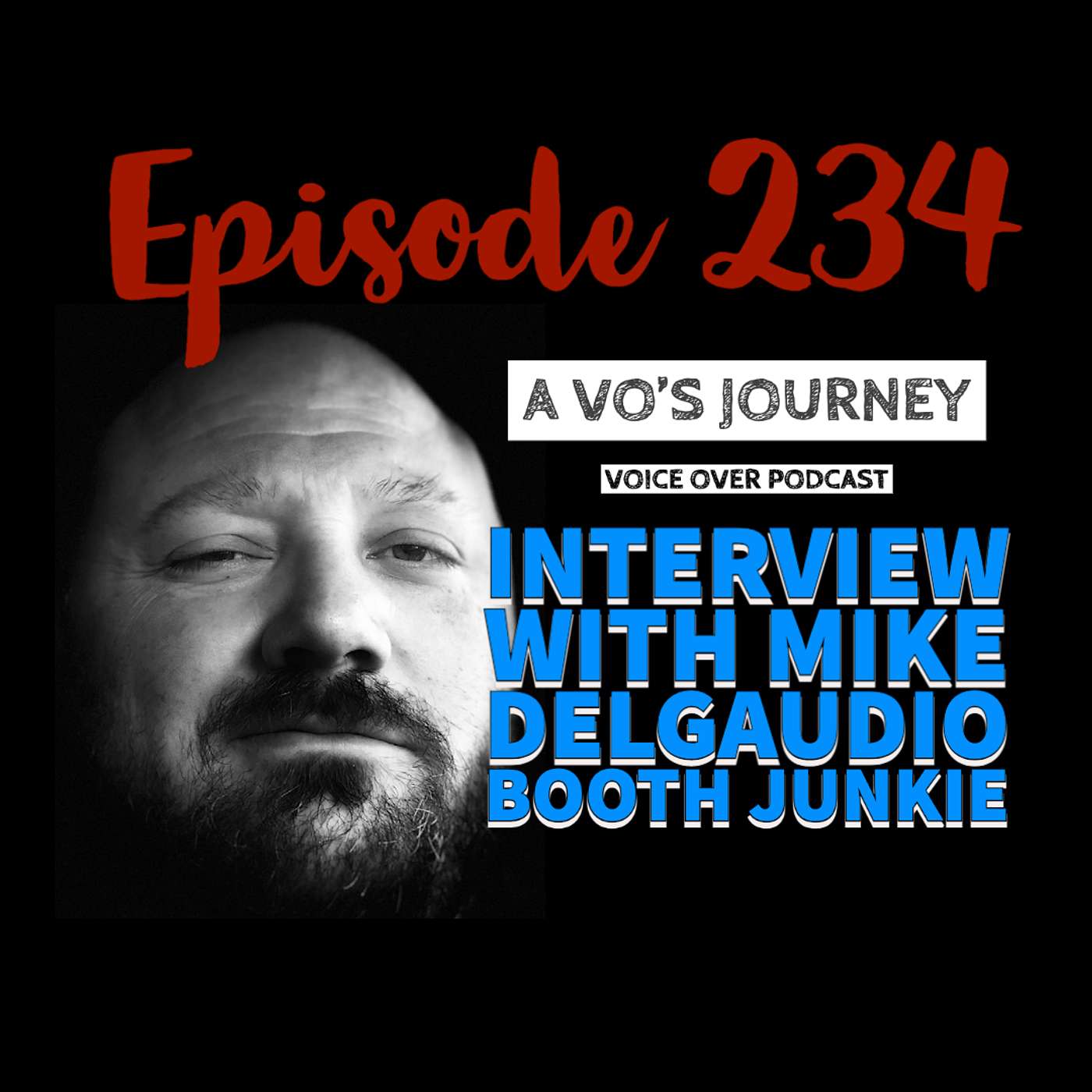 A VO\'s Journey: Voiceover and more voice over