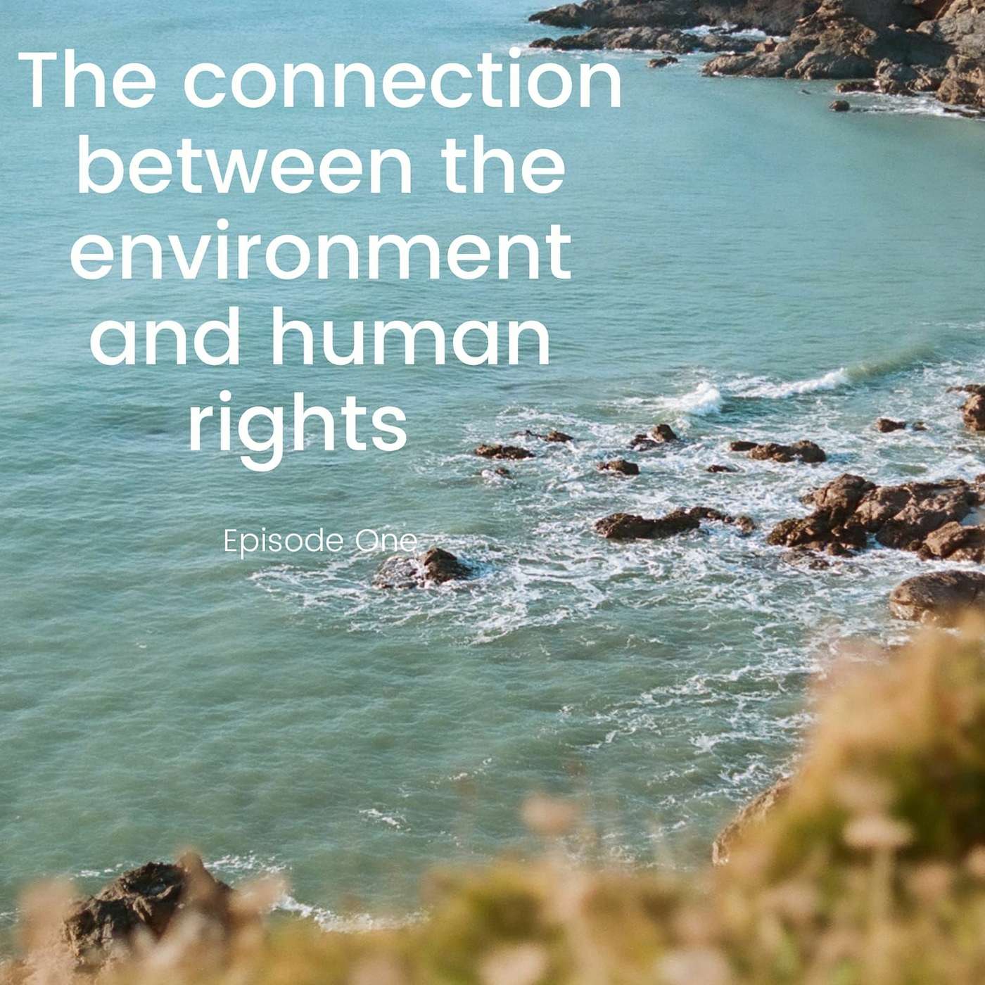 EarthRights