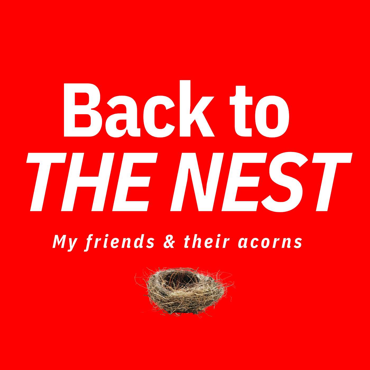 Back To The Nest