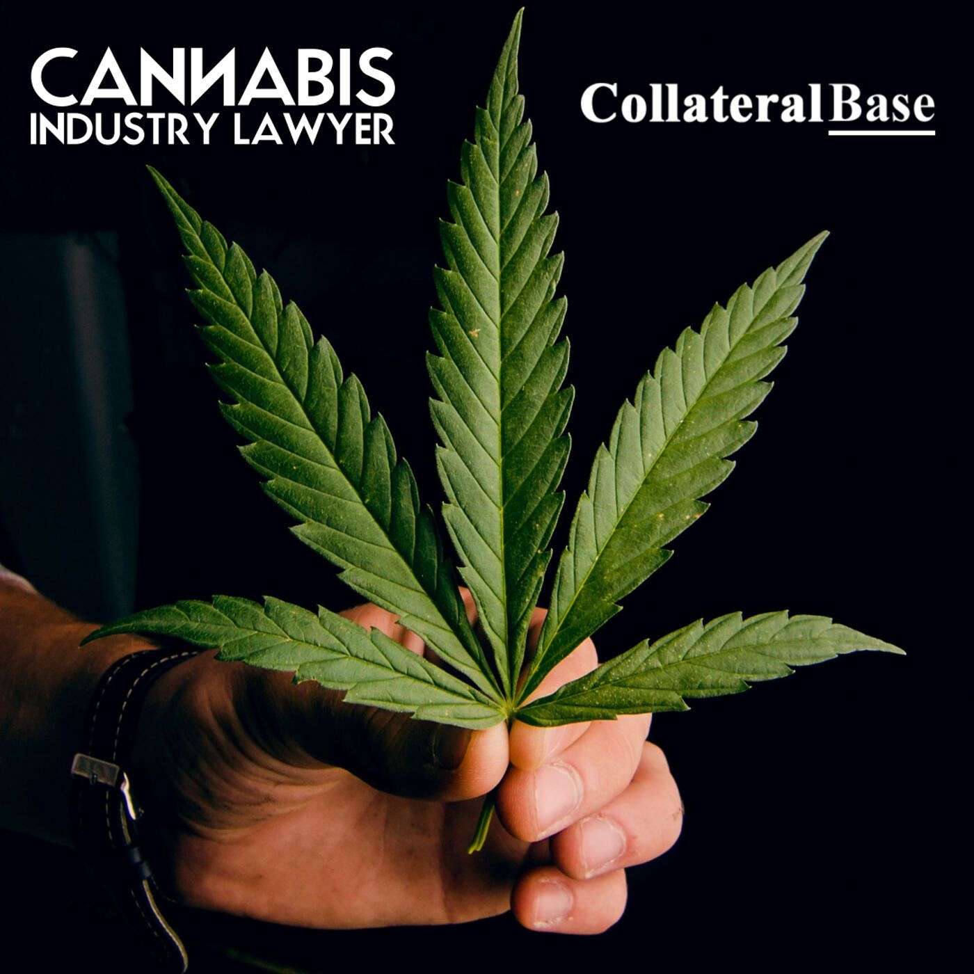 Virginia Cannabis License Update | Virginia marijuana laws | Virginia Minority Cannabis Coalition