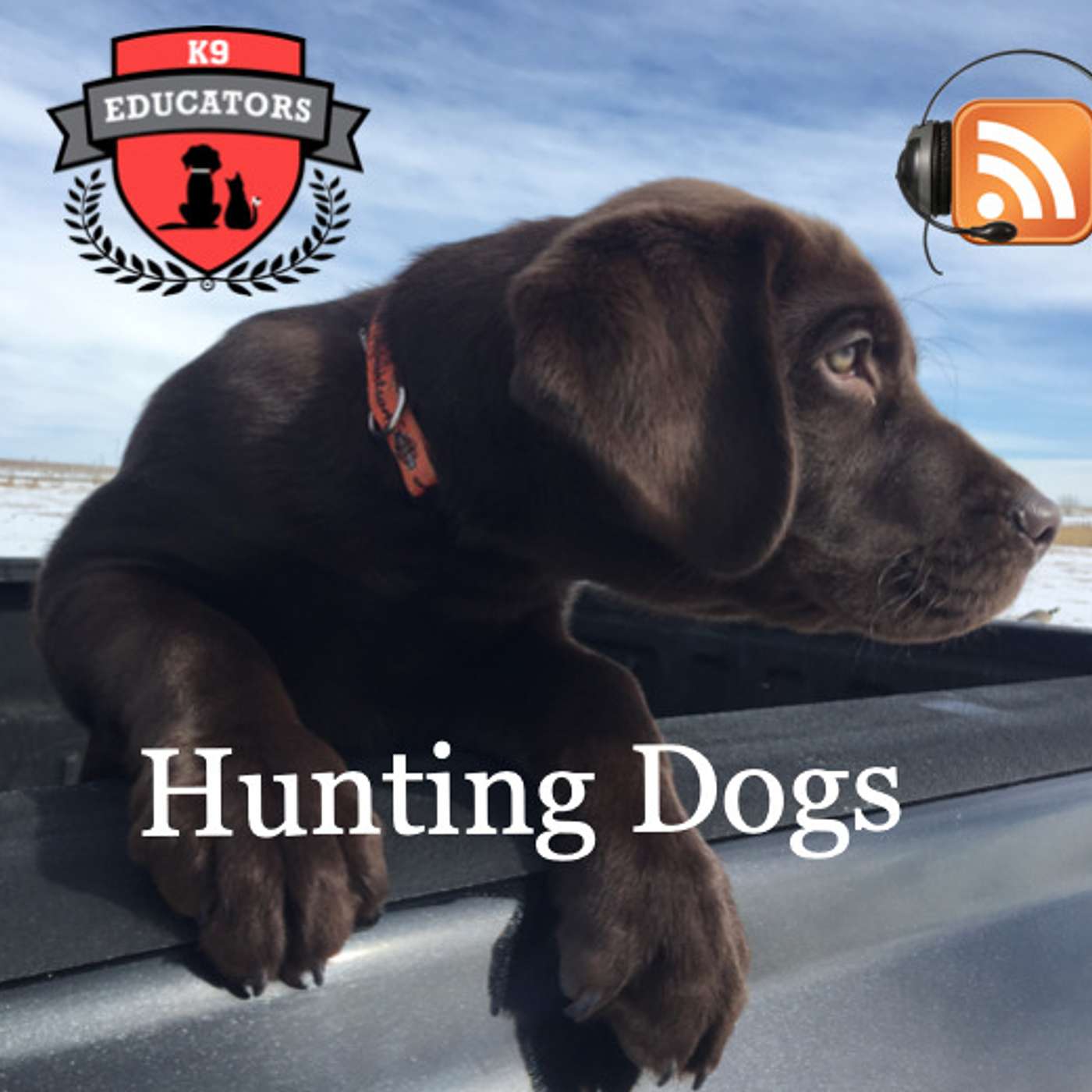 K9 Educators - To Save a Pets Life