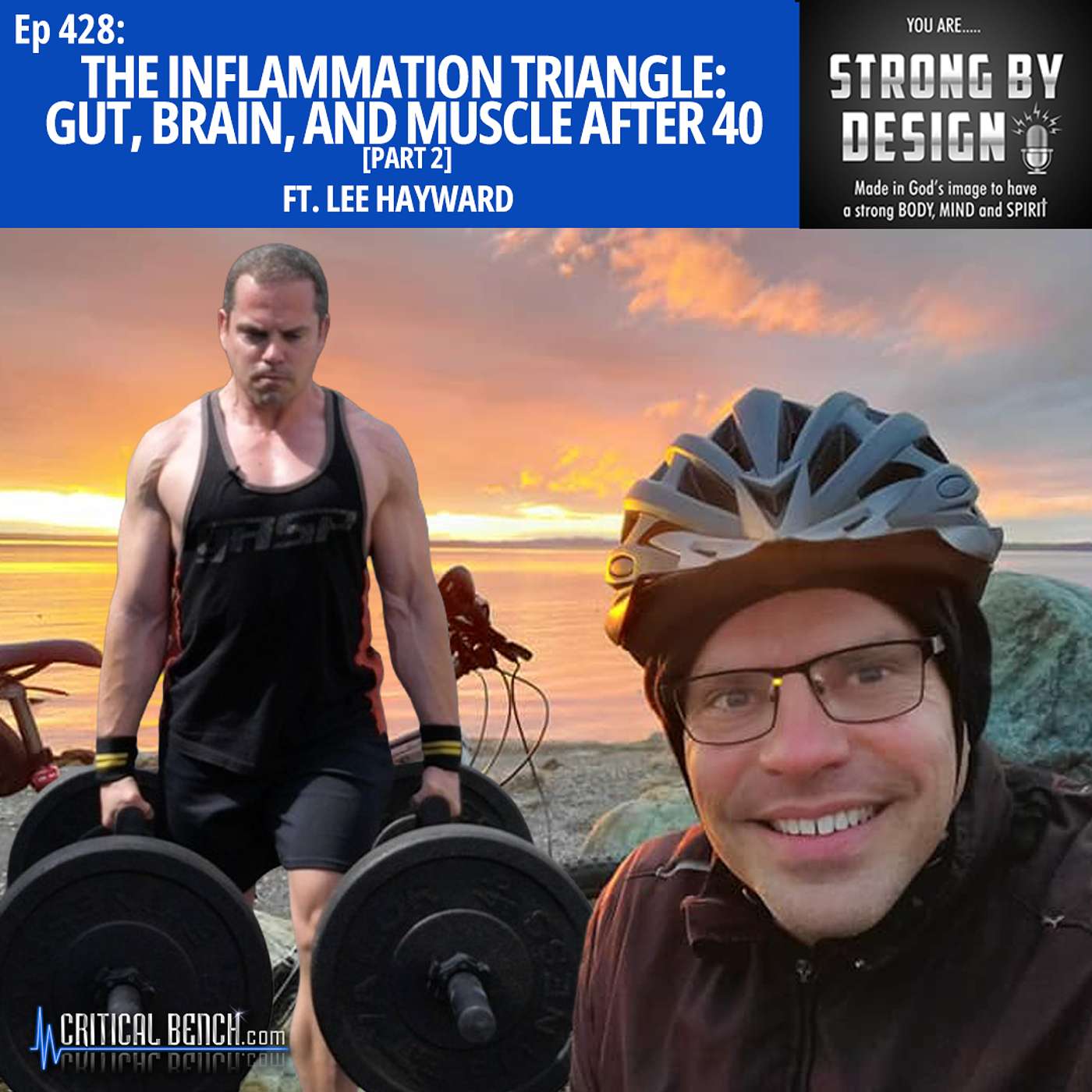 Ep 428 The Inflammation Triangle: Gut Brain and Muscle After 40 ft Lee Hayward [Part 2]