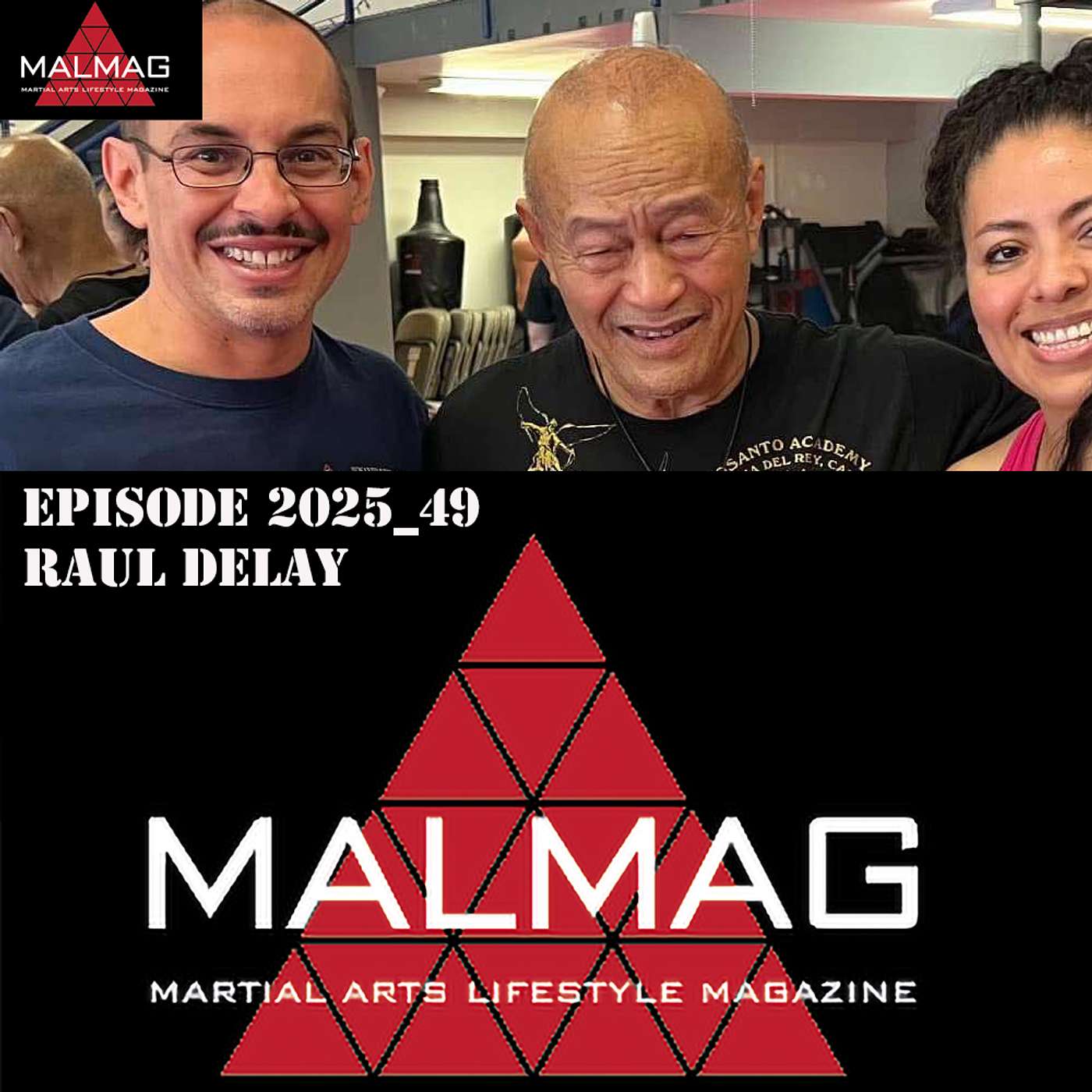 The Martial Arts Lifestyle Podcast