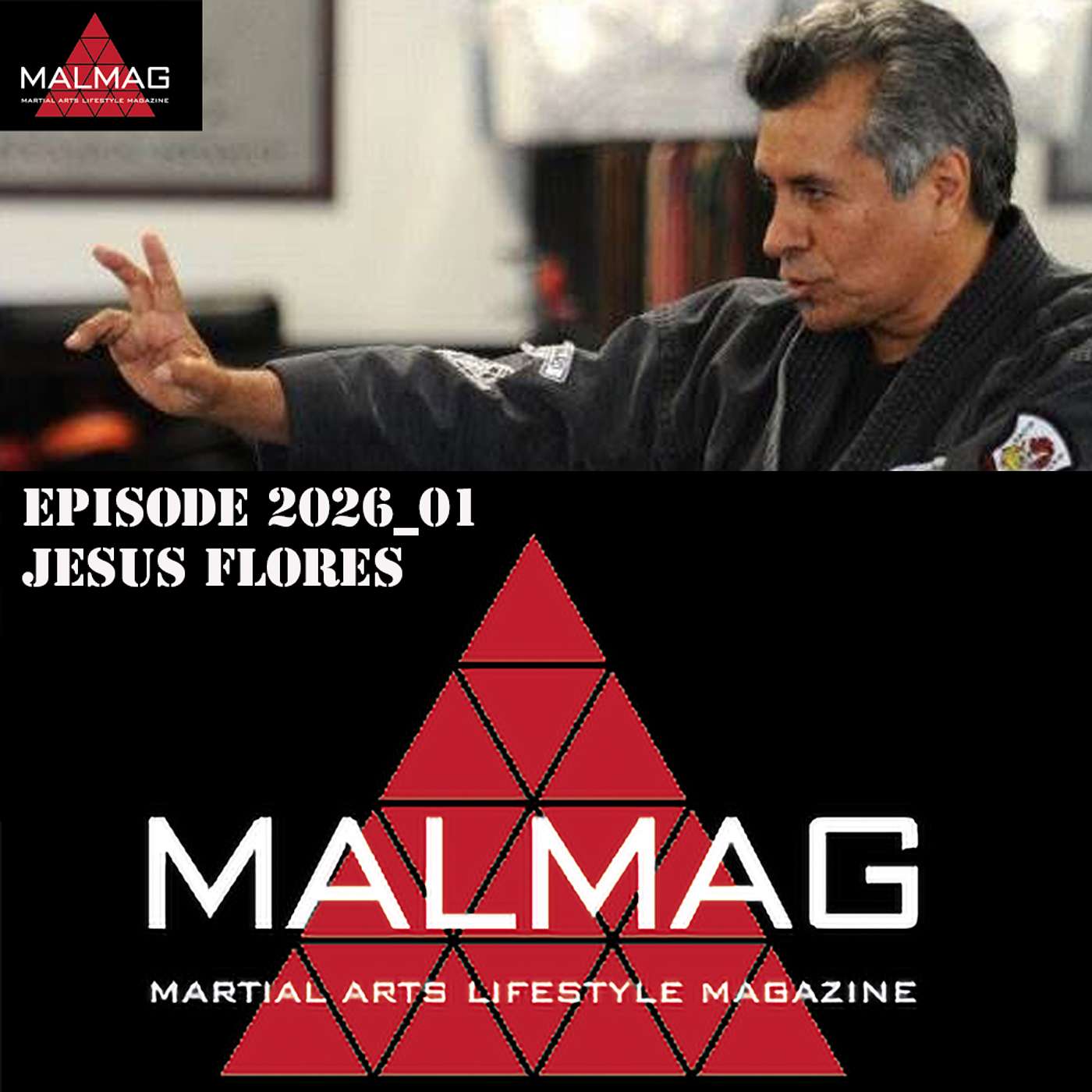 The Martial Arts Lifestyle Podcast