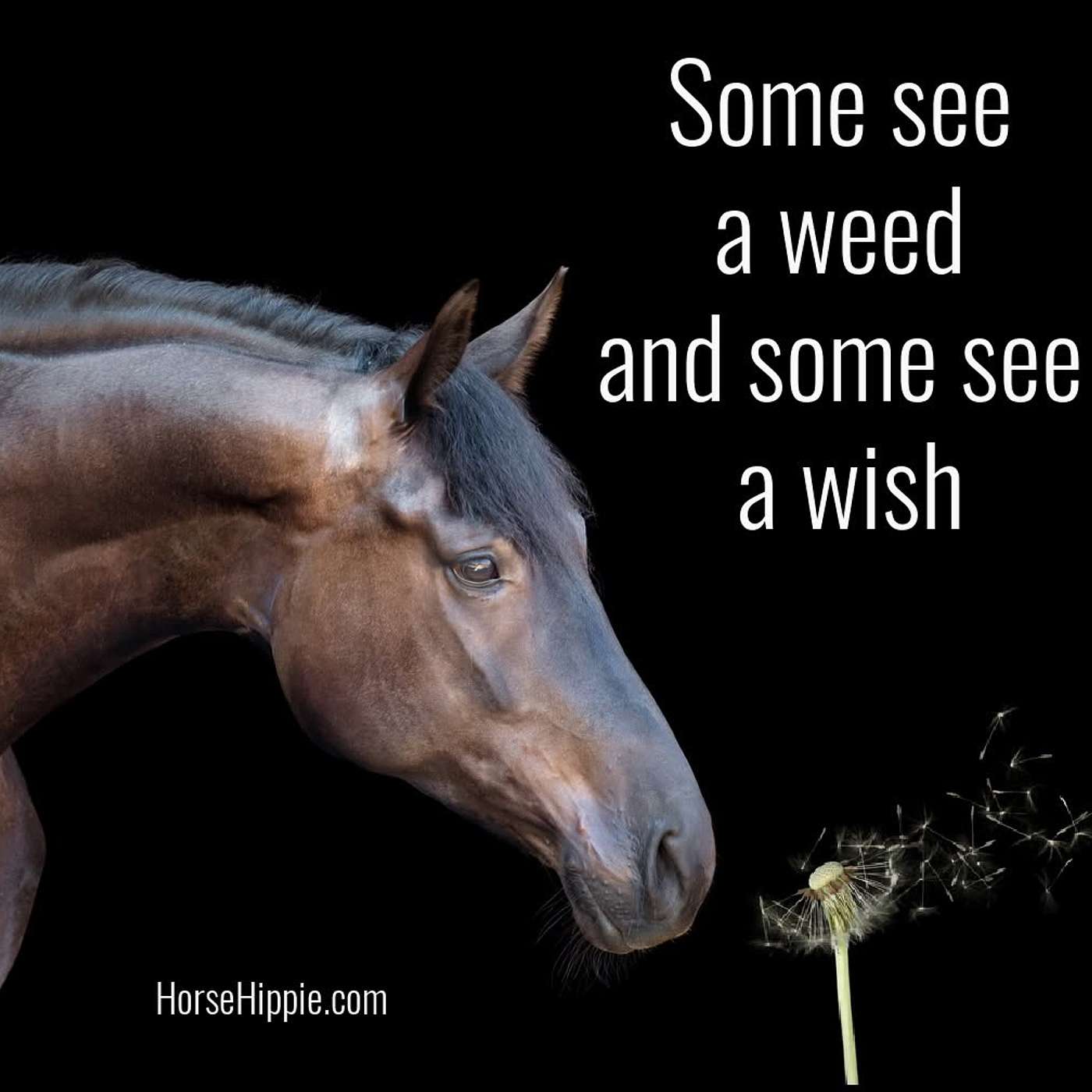 It’s How We Look at Things