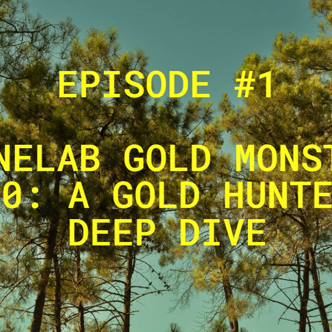 Minelab Gold Monster 1000: A Gold Hunter’s Deep Dive