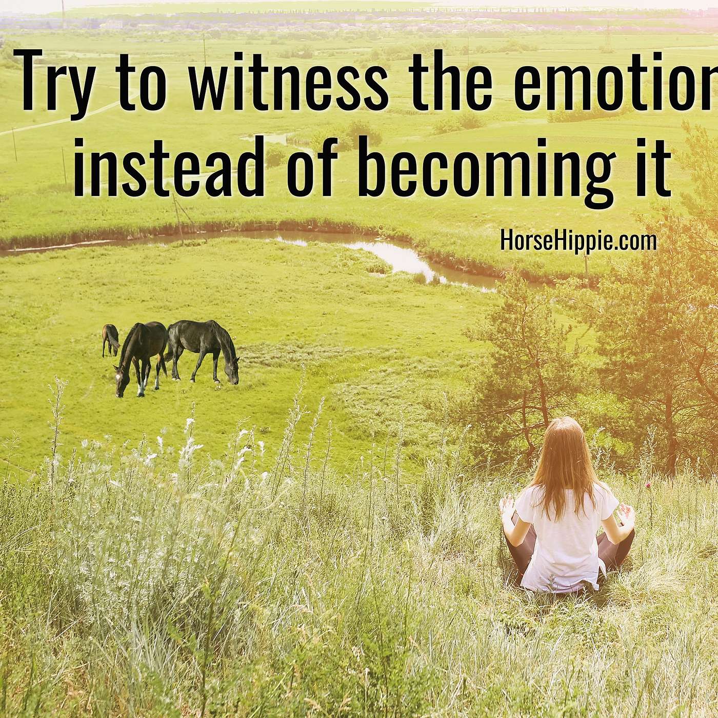 Distance from Emotions