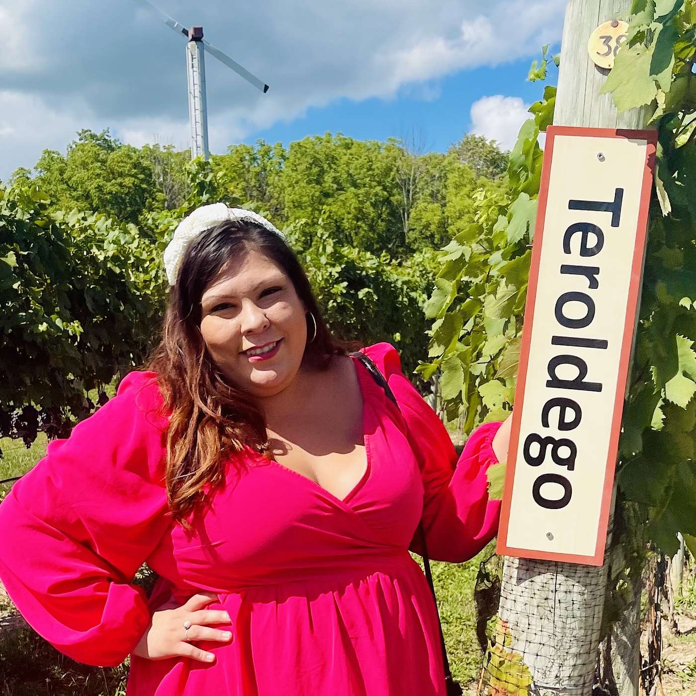 Episode 203:Vanessa Phillips is  an inspiring individual with a mission to bridge the gap between small farmers and consumers in her community driven wine shop, Vitis Fine Wine & Spirits. episode artwork