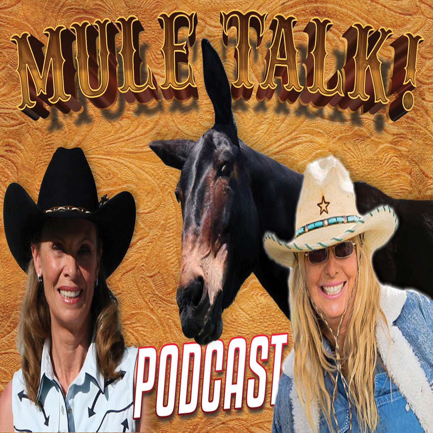 MULETALK PODCAST – BENEFITS OF POSTURAL CORE STRENGTH TRAINING - MEREDITH HODGES - LUCKY THREE RANCH episode artwork