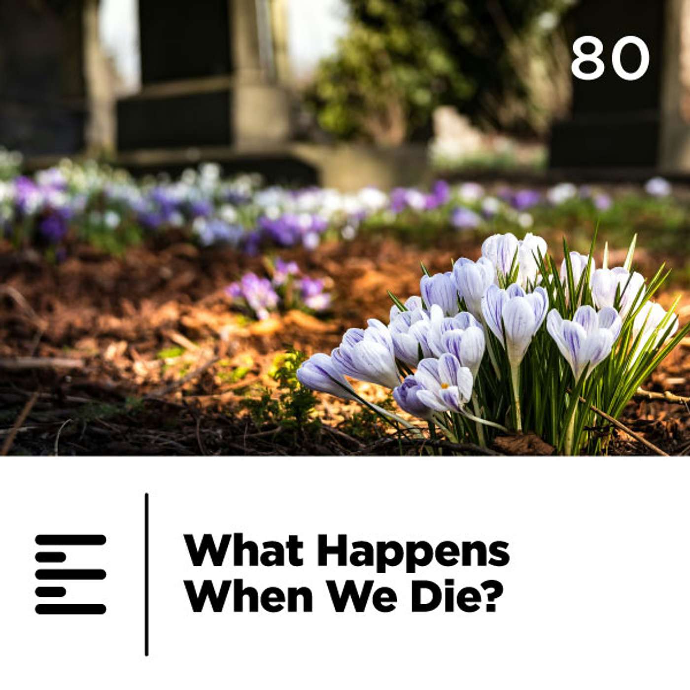 80 - What Happens When We Die?