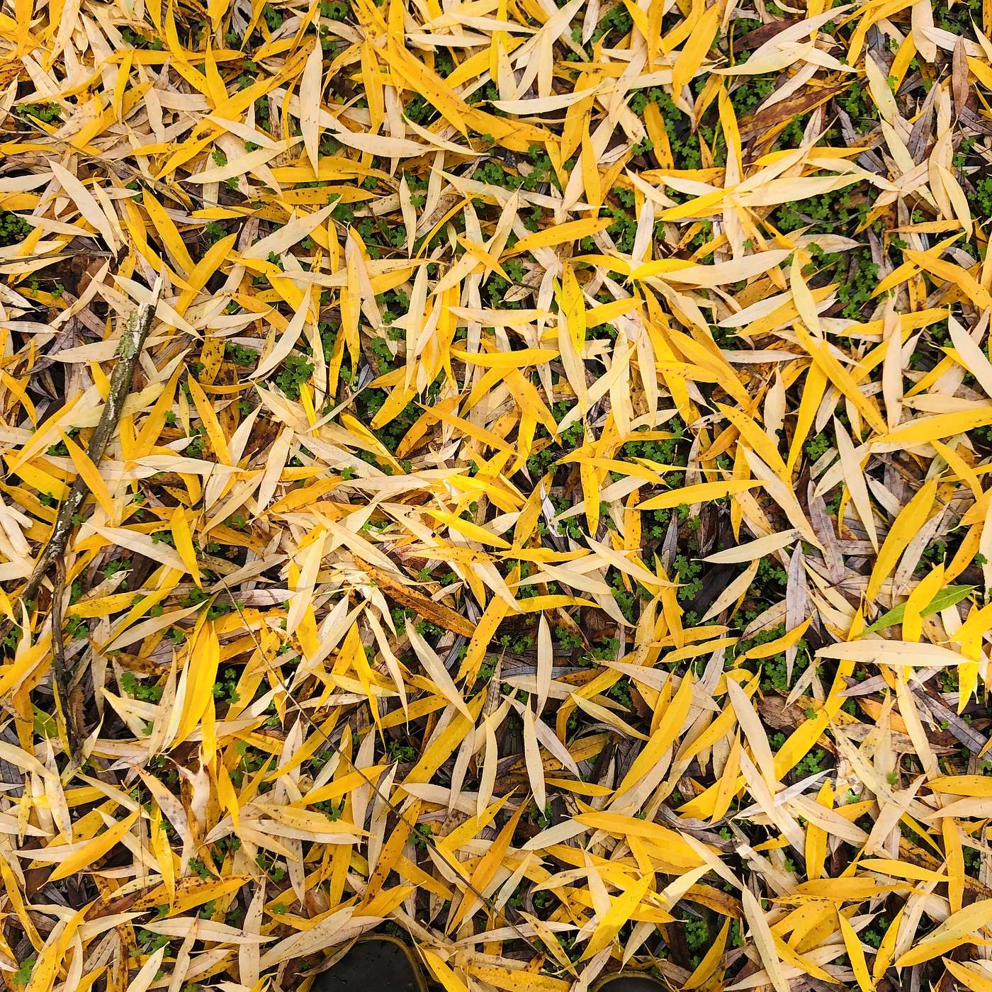 Grief House - Portals